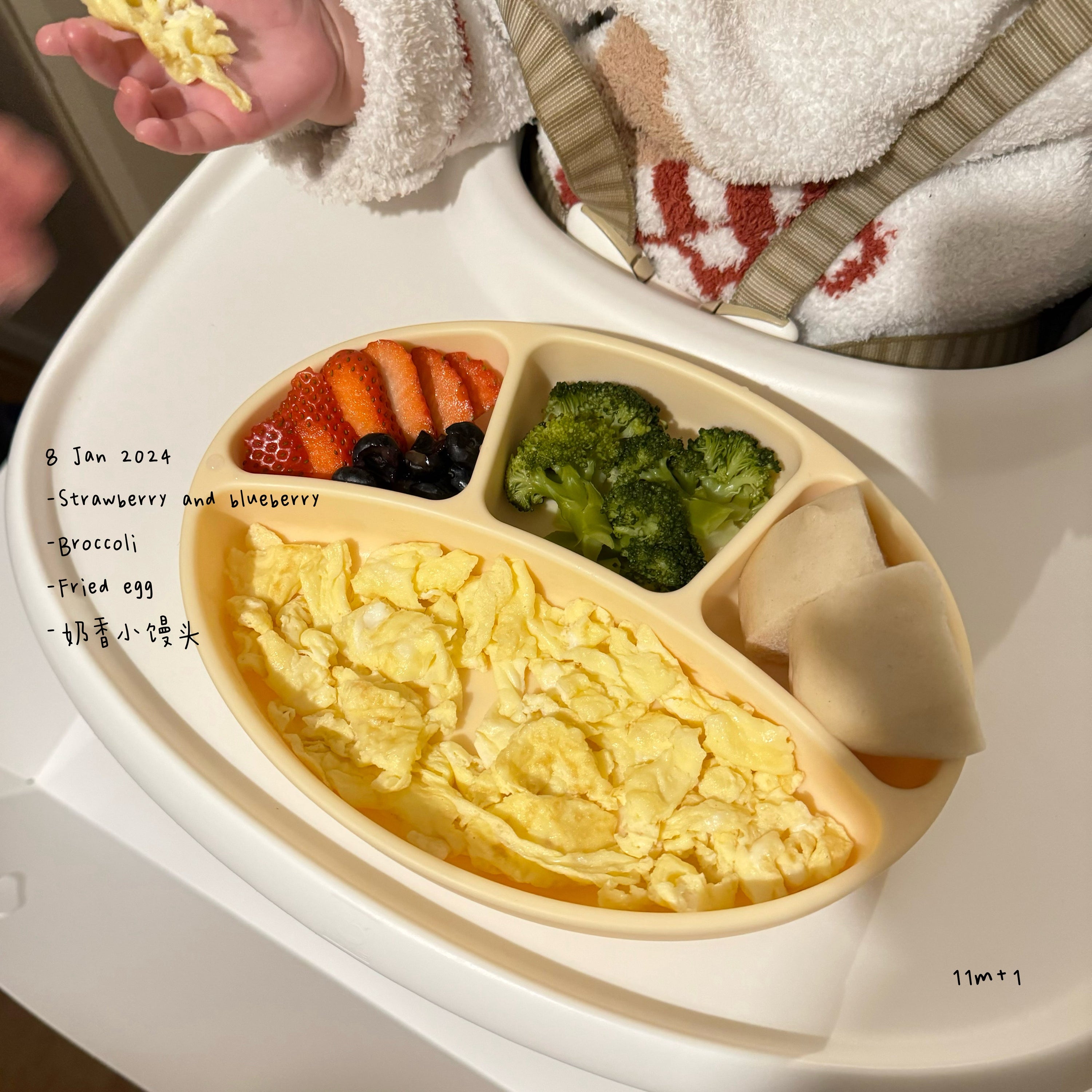 Loomie Daily Meal #03 – 11m Morning Energy