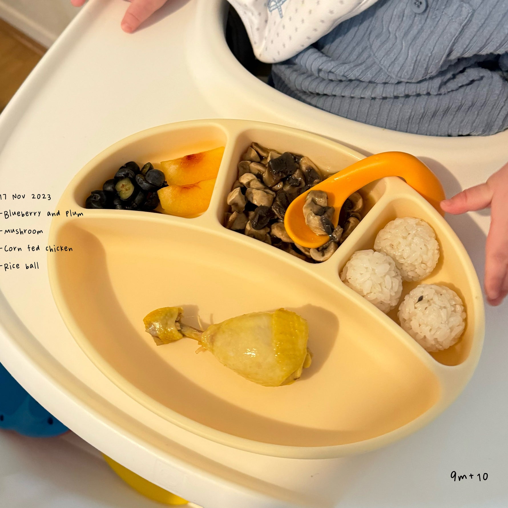 Loomie Daily Meal #10 - 9m Comfort Bites & Gentle Textures