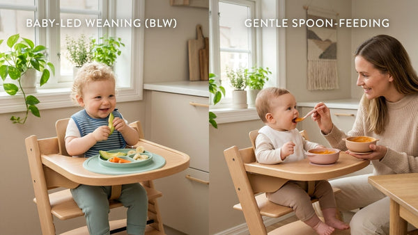 BLW vs Purees: Which Is Right for Your Baby?