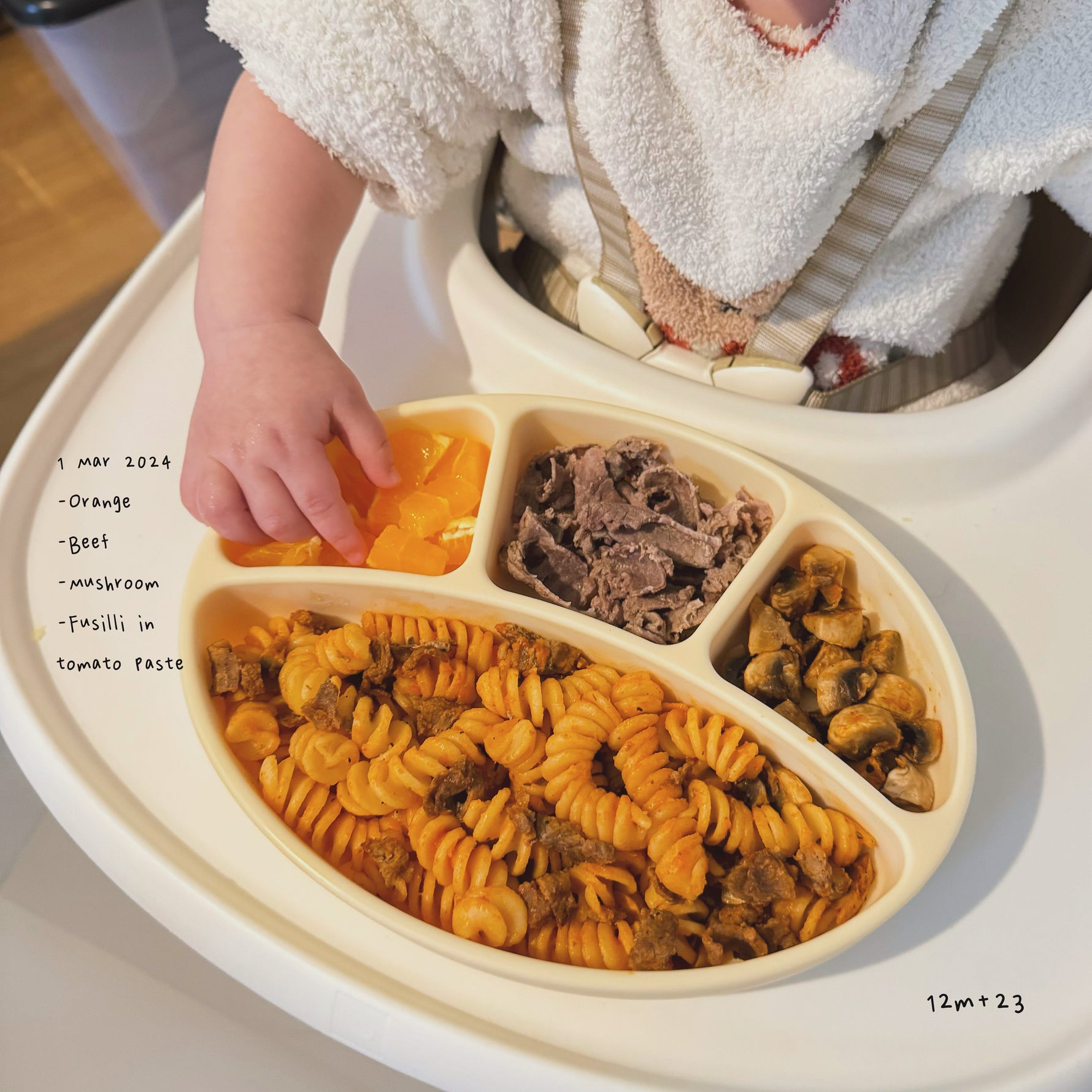 Loomie Daily Meal #09 – 12m Pasta Power & Bright Flavours
