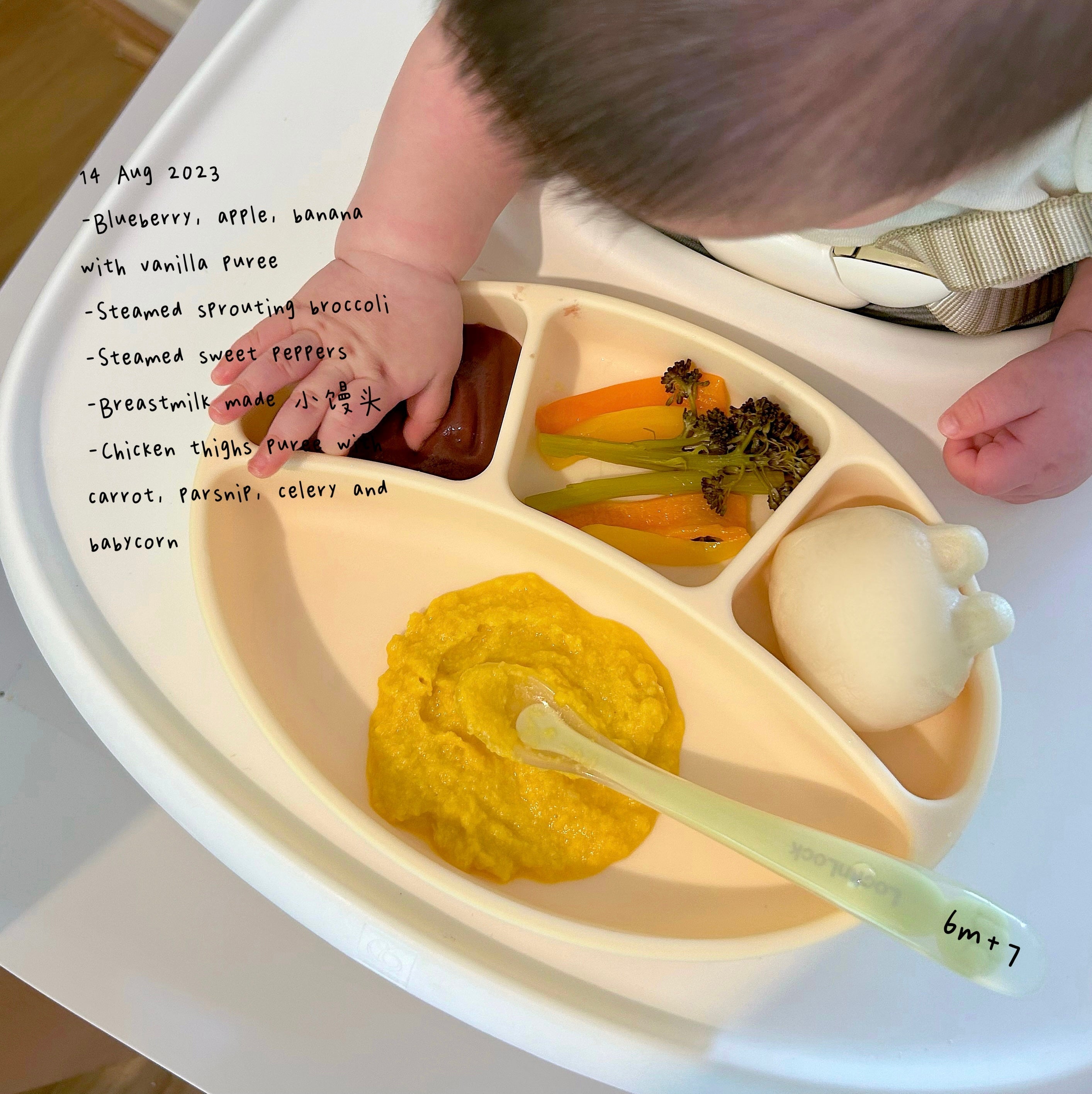 Loomie Daily Meal #03 - 6m+ Little Hands, Big Flavours