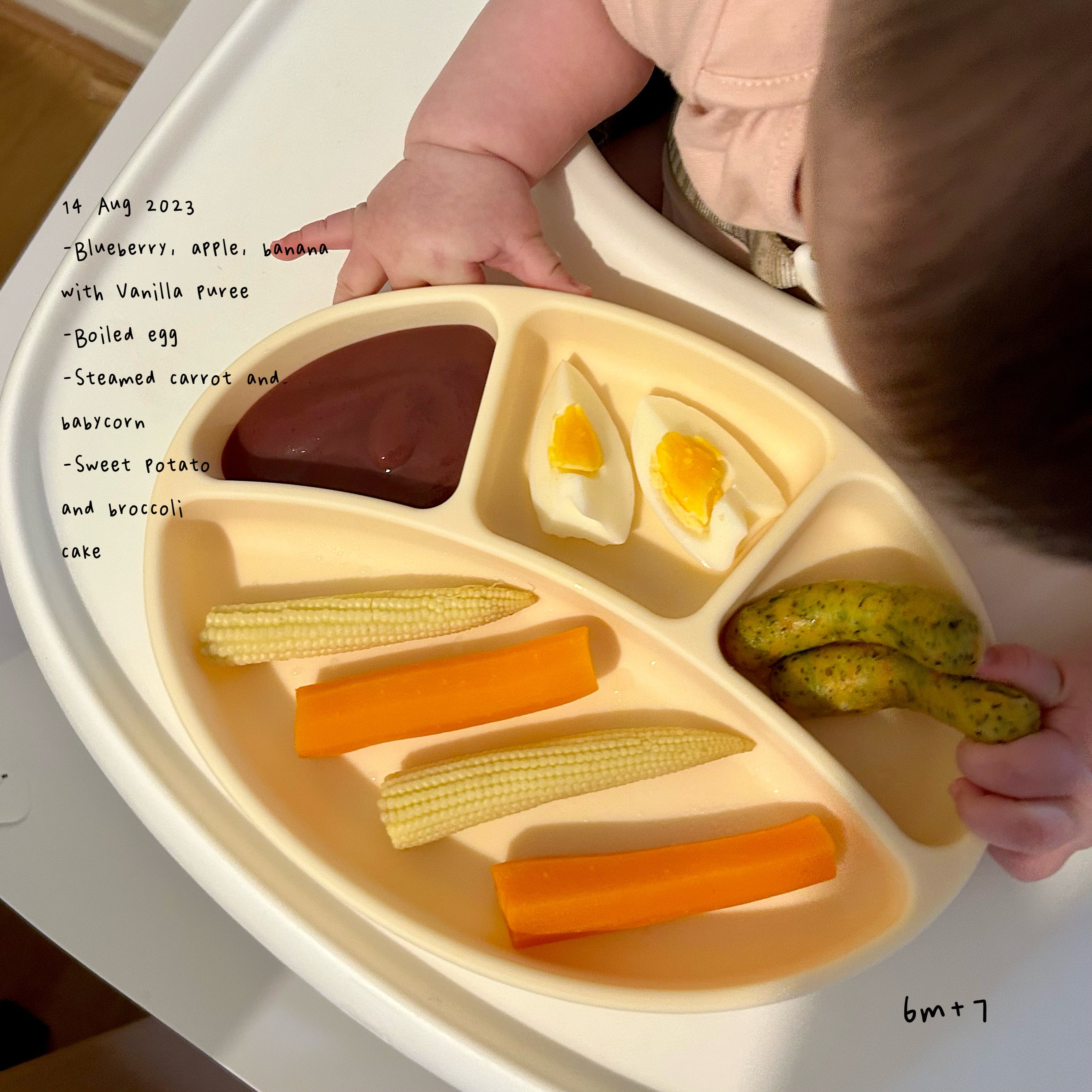 Loomie Daily Meal #04 - 6m+ steamed sausage!