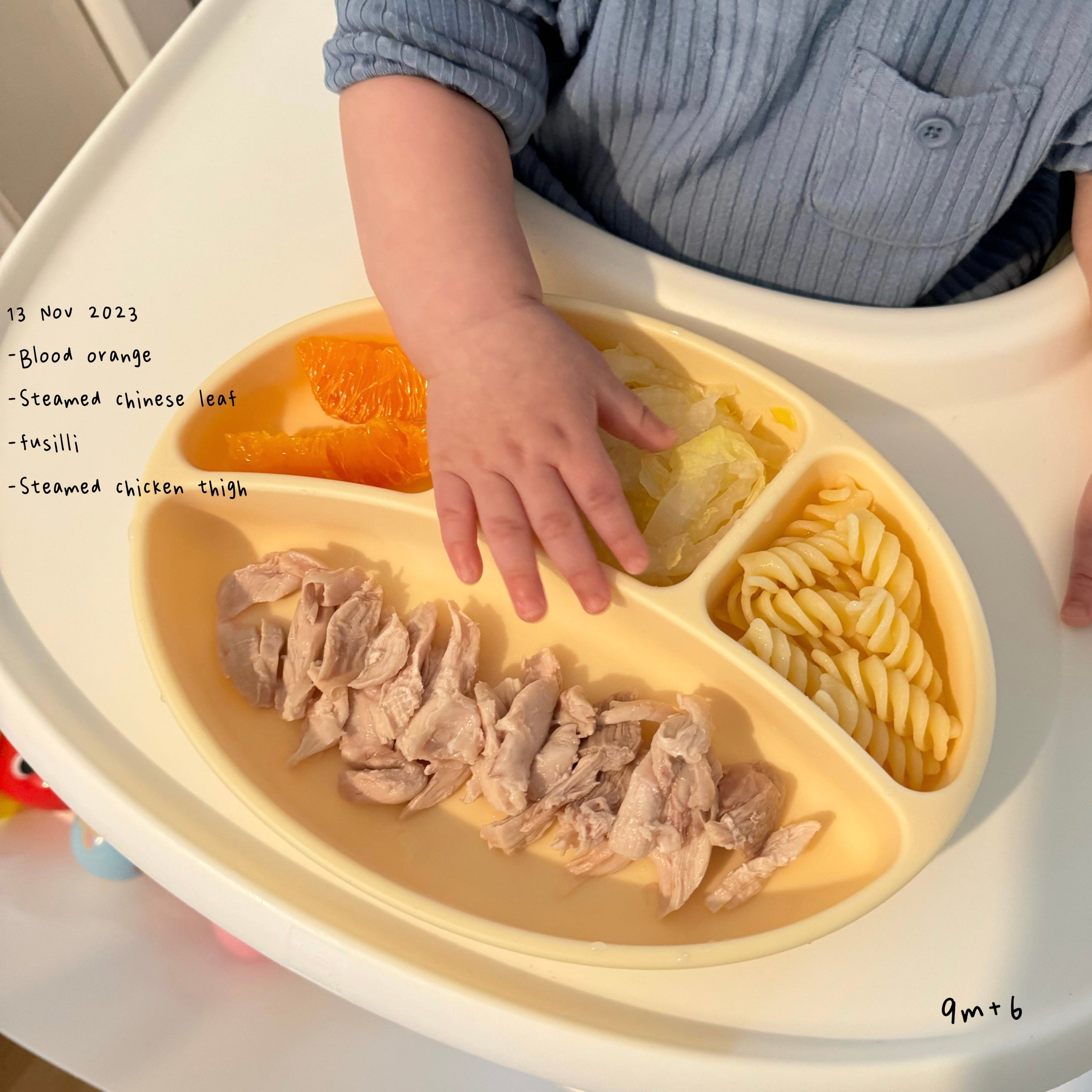 Loomie Daily Meal #06 - 9m Bright & Simple Plates