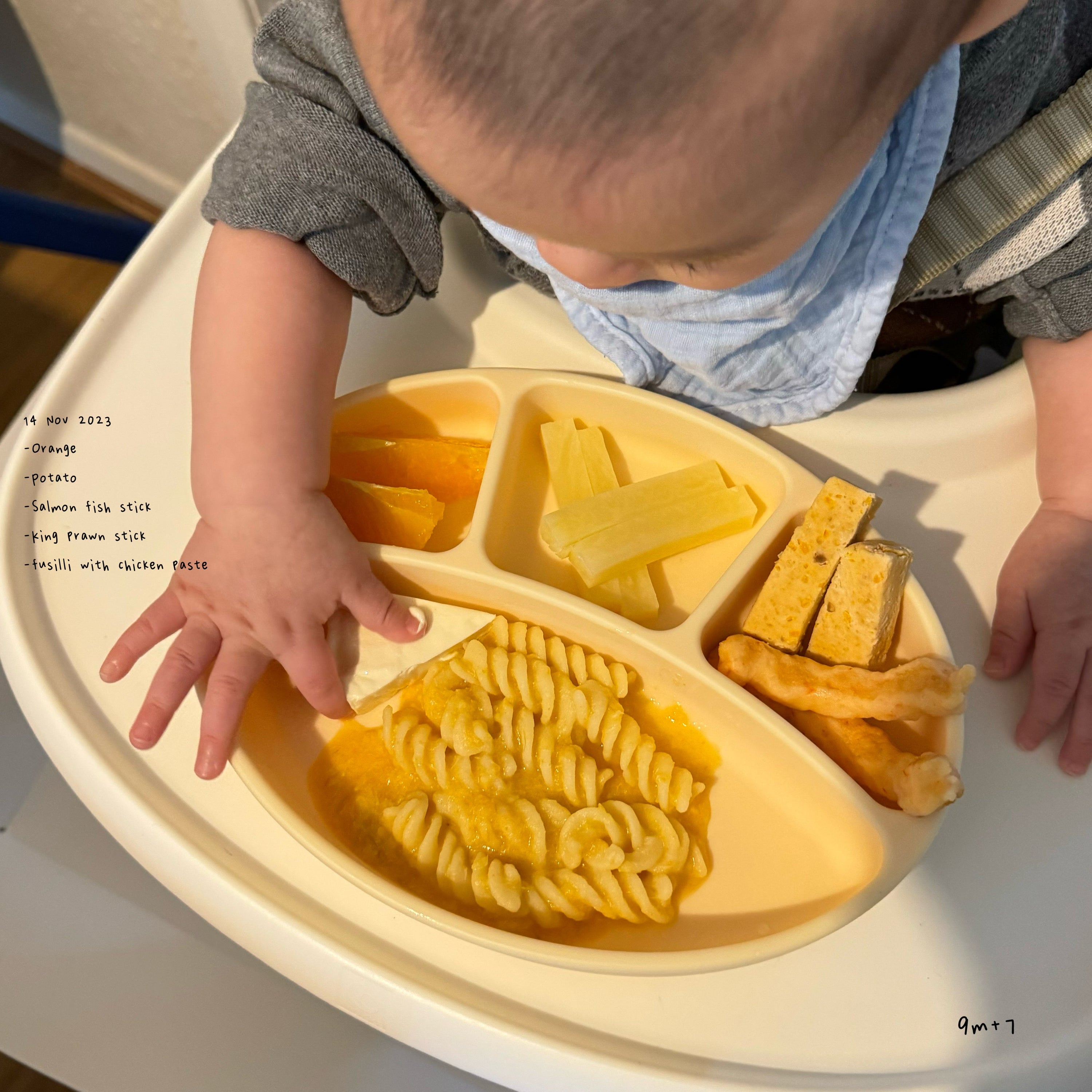 Loomie Daily Meal #07 - 9m Colorful Bites & Soft Textures