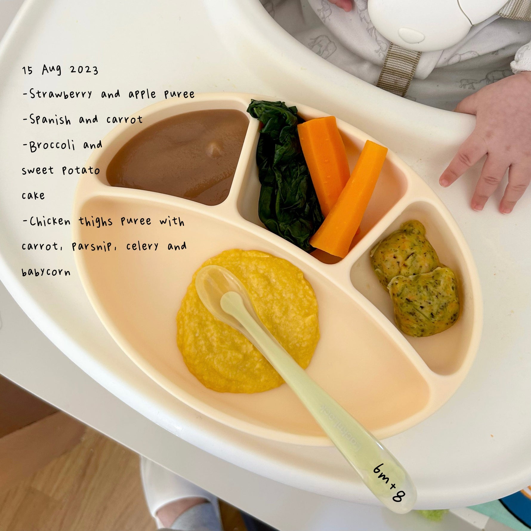 Loomie Daily Meal #05 - 6m+ Nourishing Bites, Joyful Growth