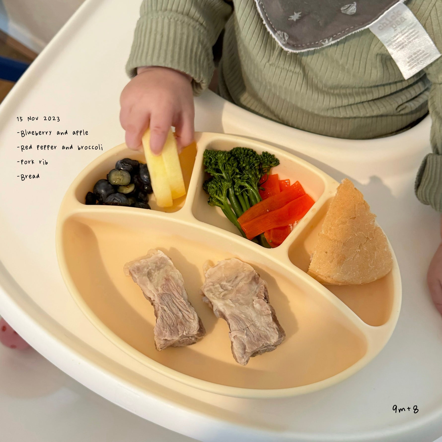 Loomie Daily Meal #08 - 9m Wholesome Chews & Fresh Flavors