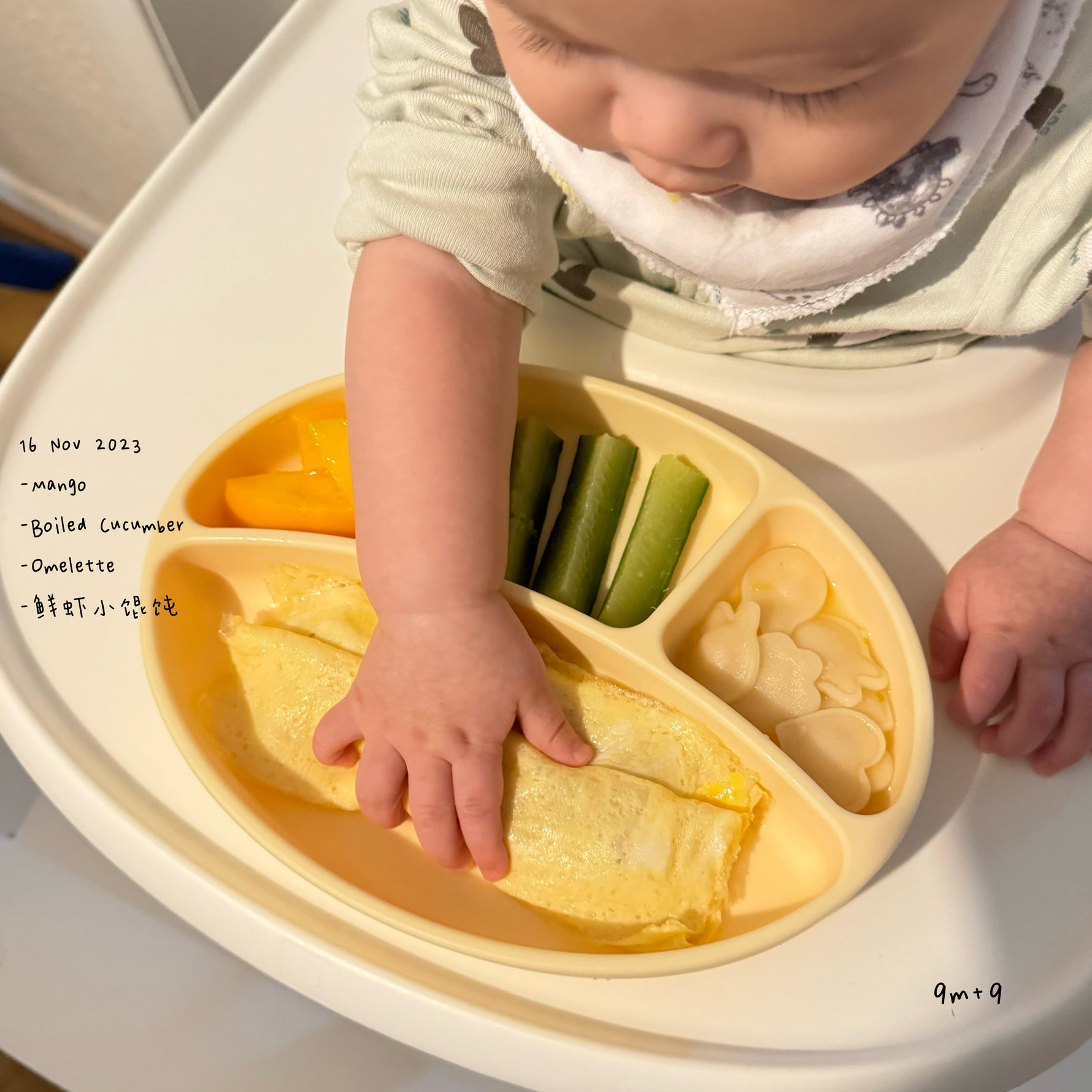 Loomie Daily Meal #09 - 9m Fresh Colors & Gentle Textures