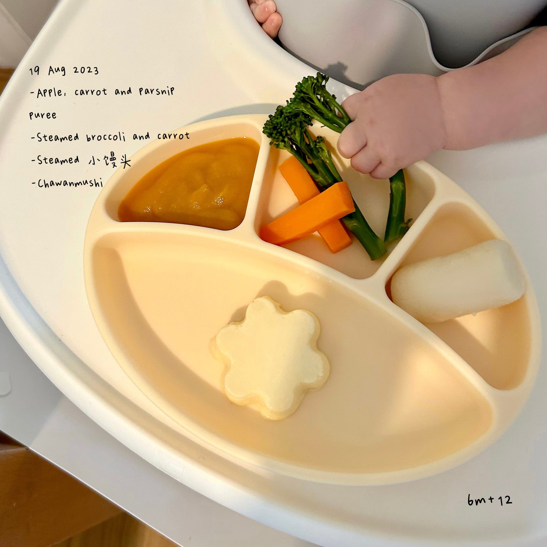 Loomie Daily Meal #08 - 6m+ I Like Chawamushi！