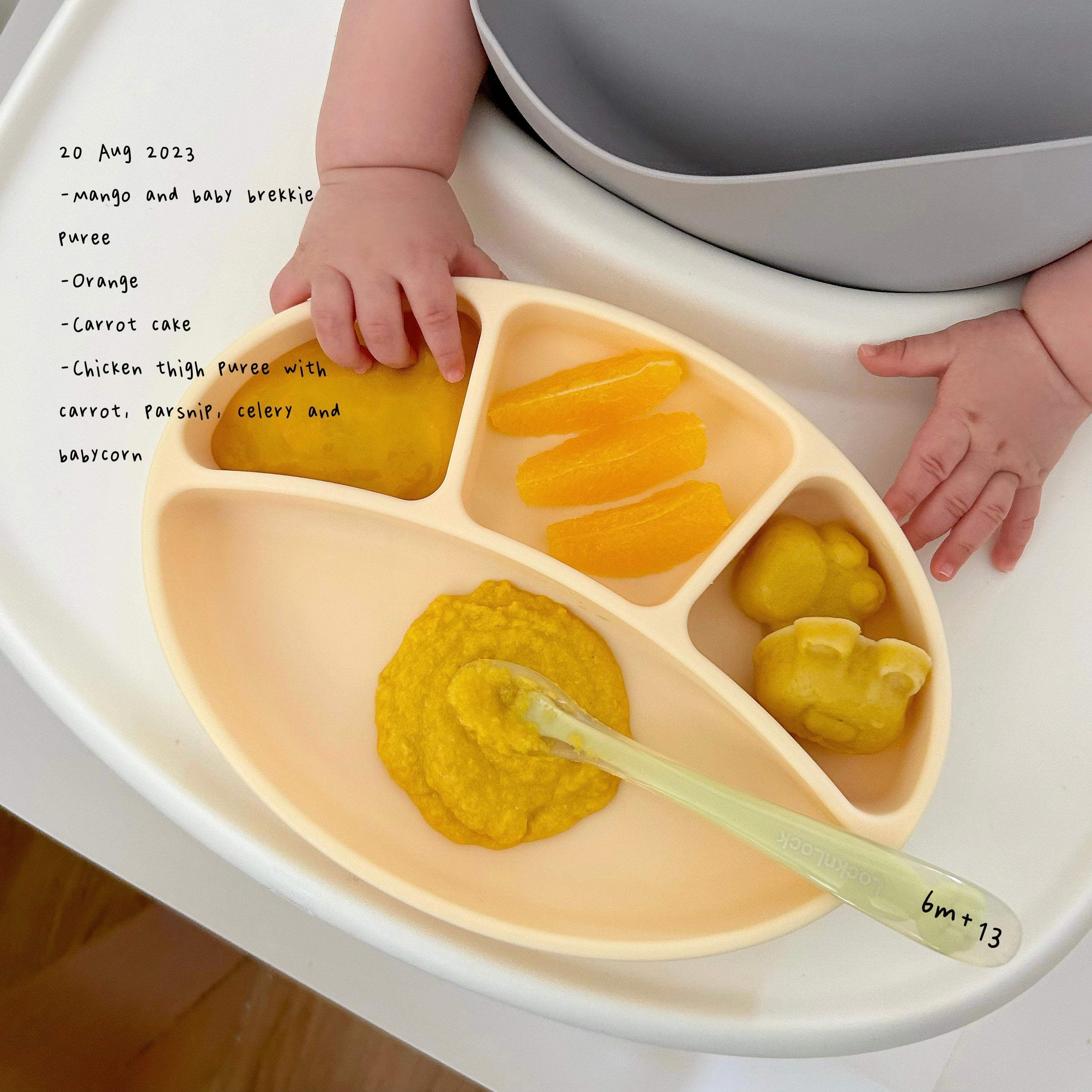 Loomie Daily Meal #09 - 6m+ Sunshine & Sweetness