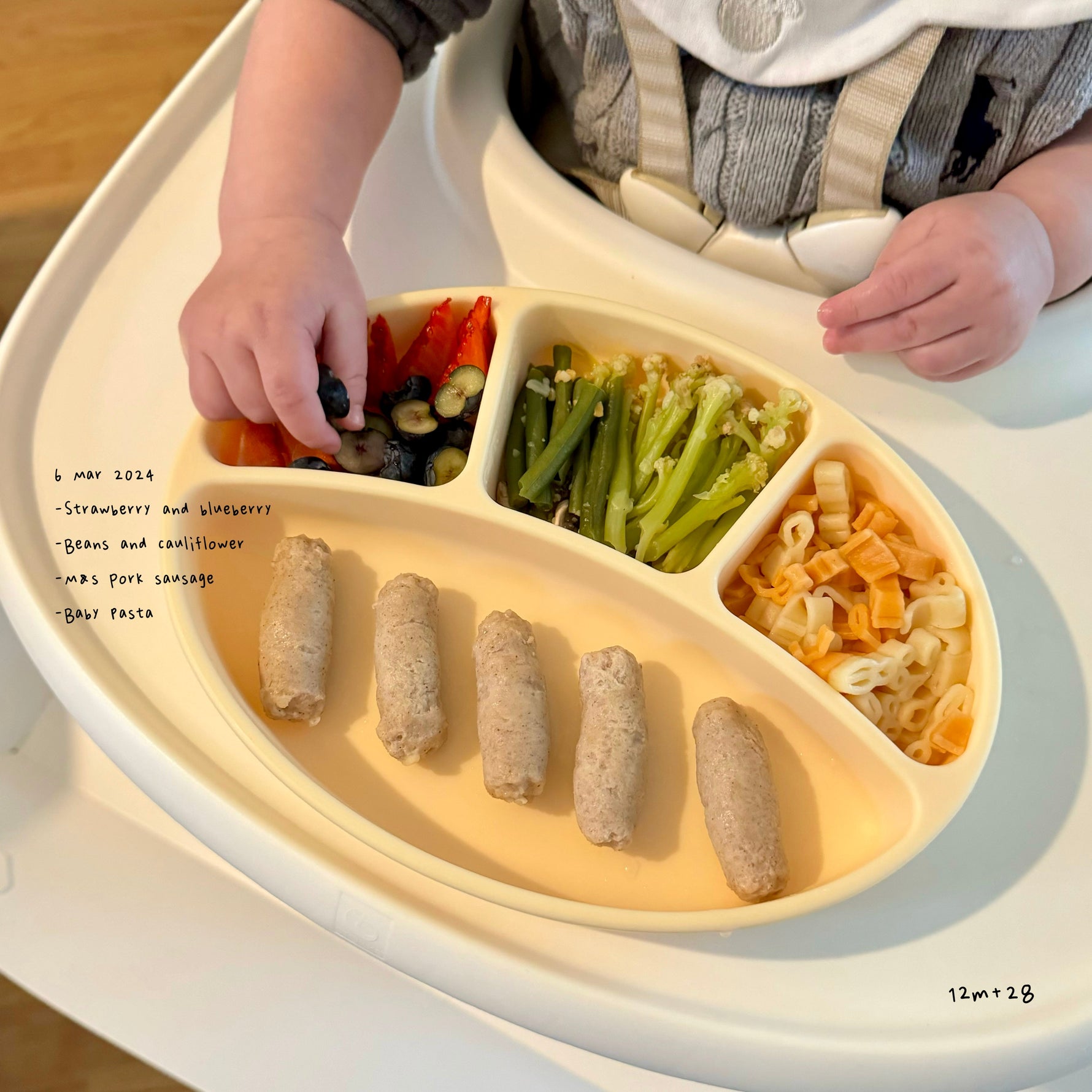 Loomie Daily Meal #11 – 12m Protein & Veggie Variety