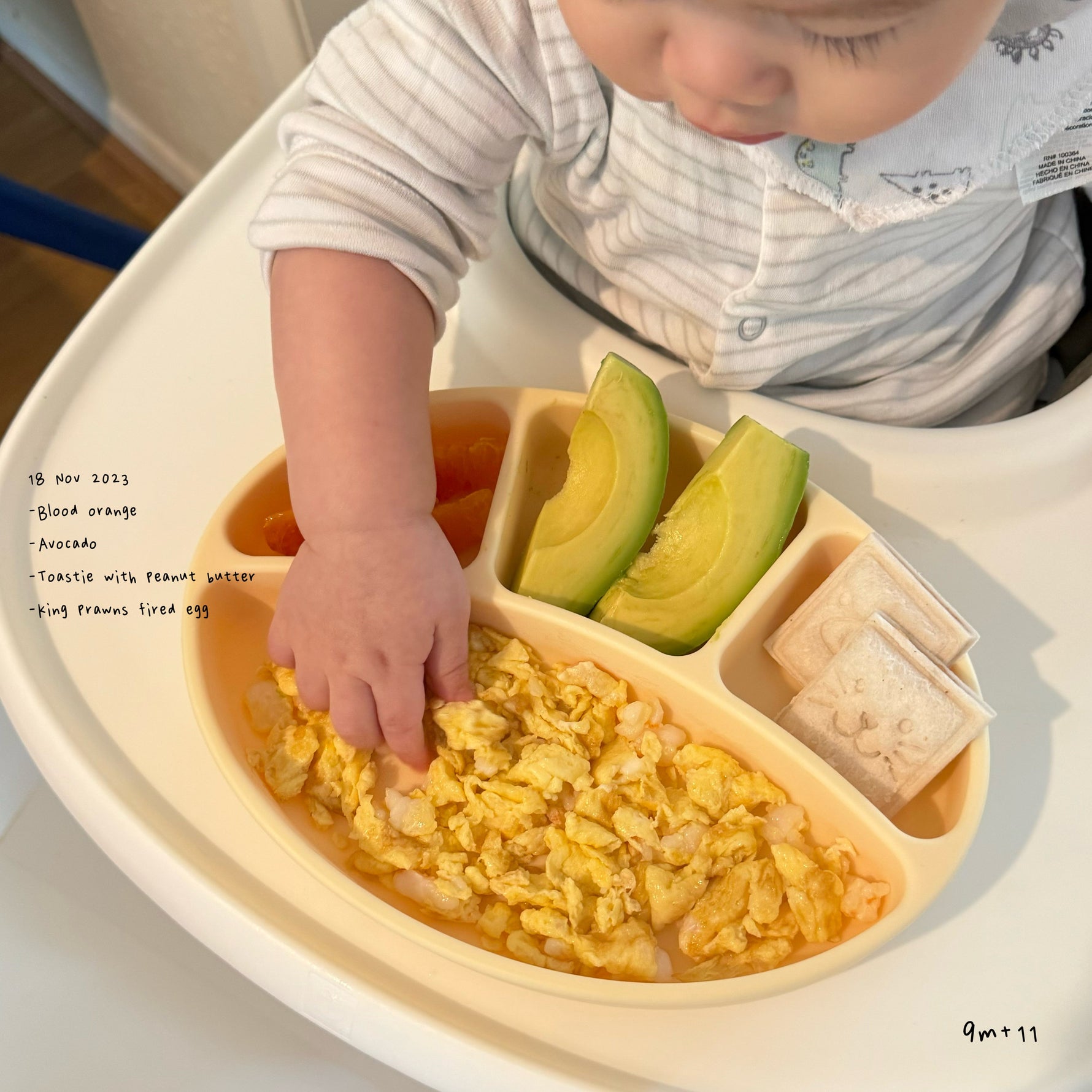 Loomie Daily Meal #11 - 9m Creamy Bites &; Power Protein