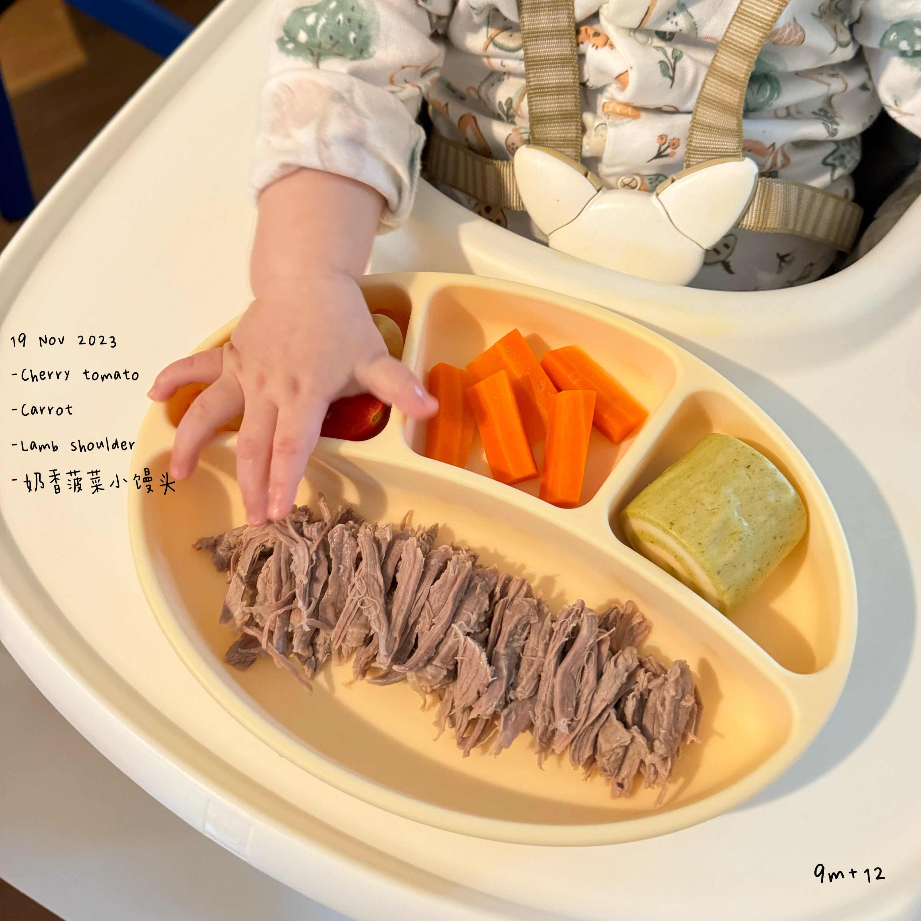 Loomie Daily Meal #12 - 9m Tender Bites & Gentle Veggies