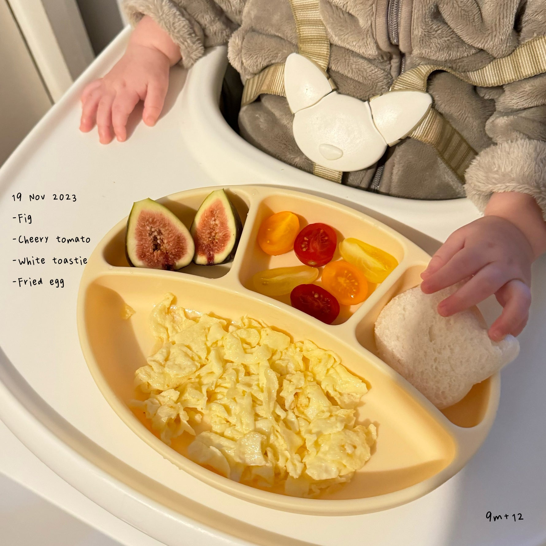 Loomie Daily Meal #13 - 9m Fresh Colors & Gentle Textures