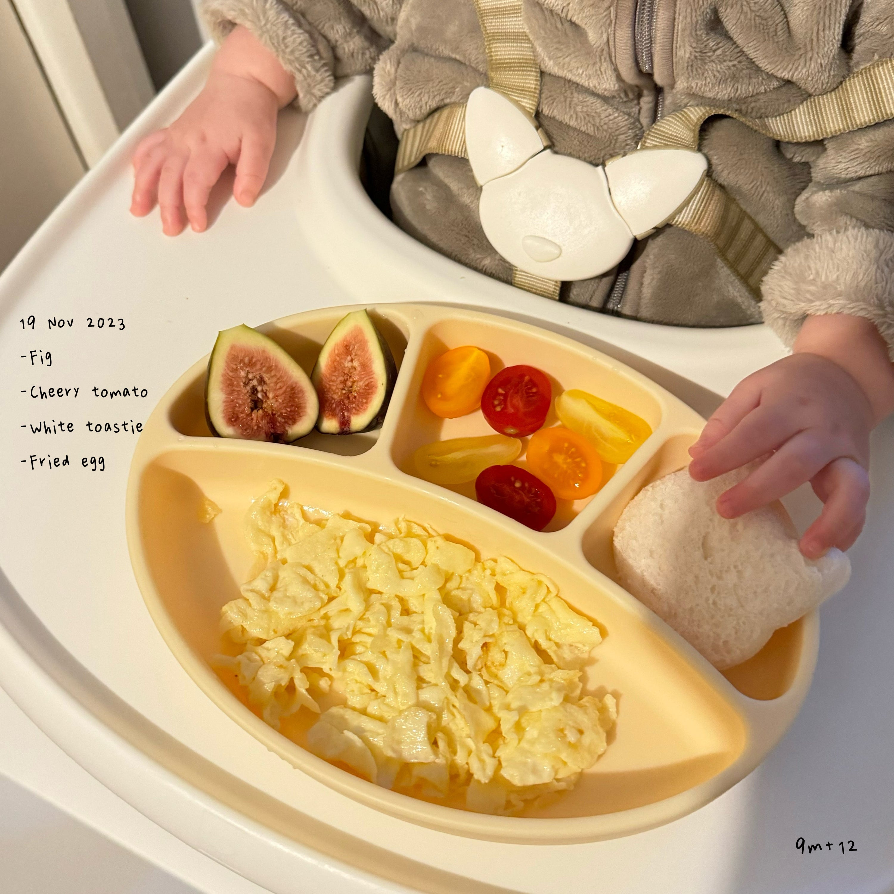 Loomie Daily Meal #13 - 9m Fresh Colors & Gentle Textures