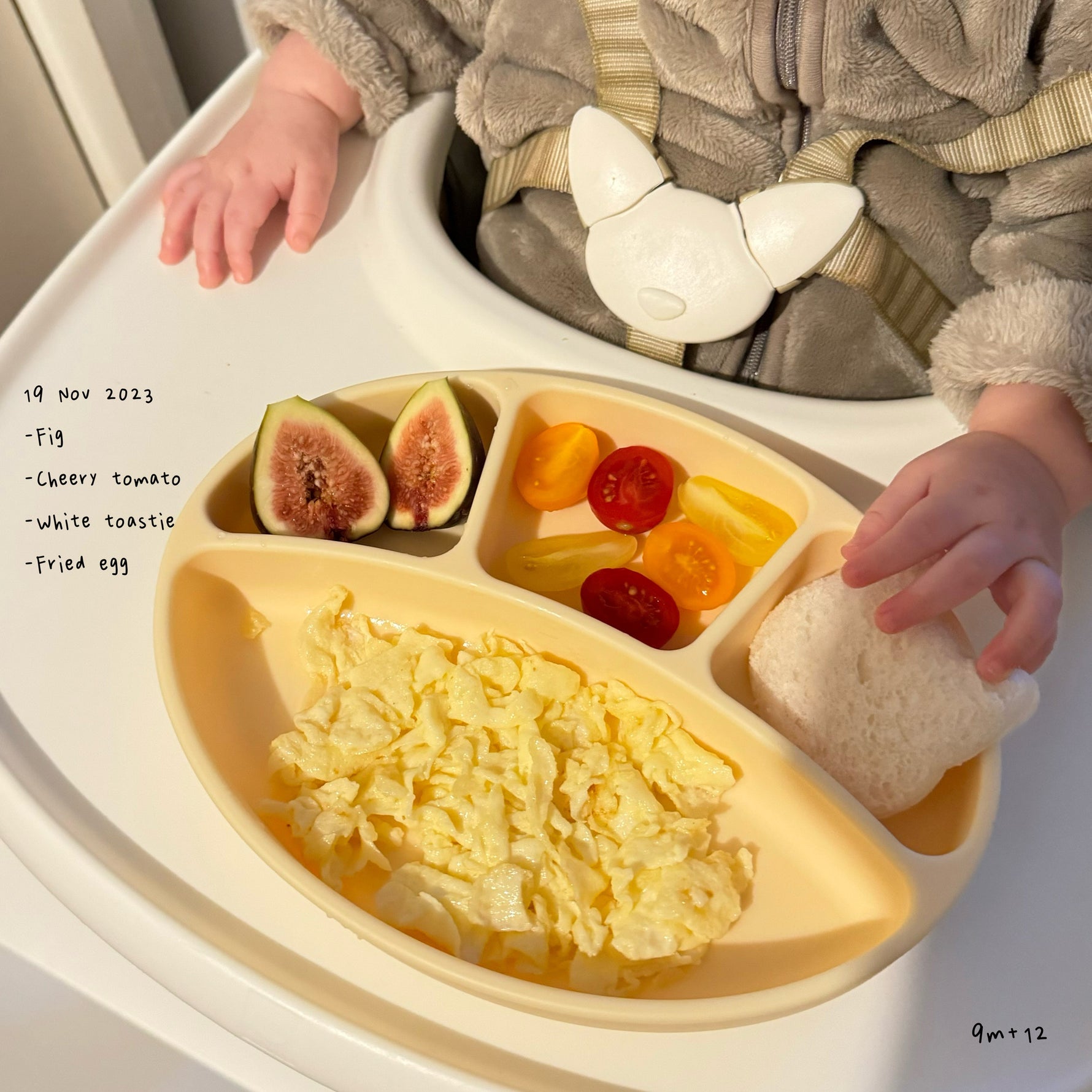 Loomie Daily Meal #13 - 9m Fresh Colors & Gentle Textures