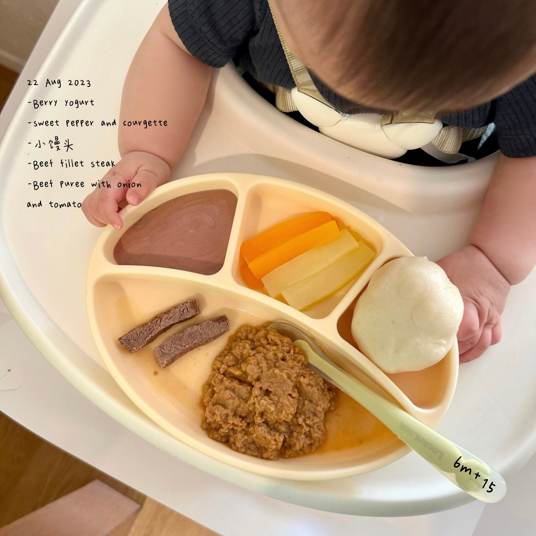 Loomie Daily Meal #10 - 6m+ First Bites of Beef