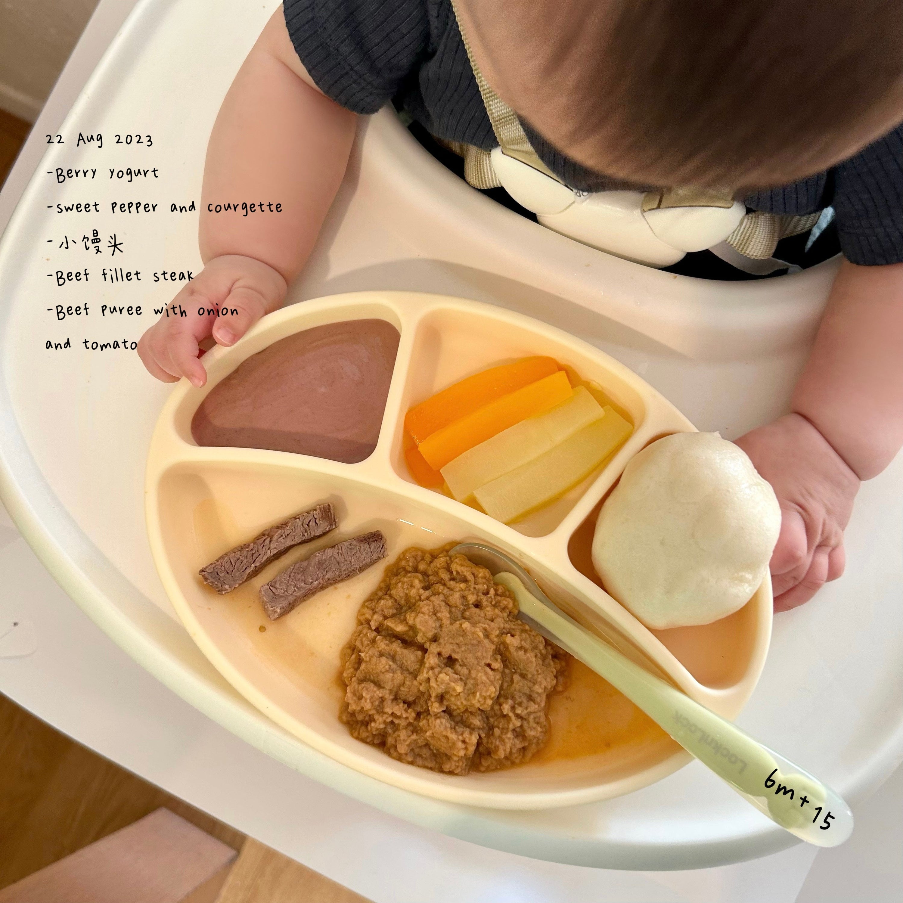 Loomie Daily Meal #10 - 6m+ First Bites of Beef