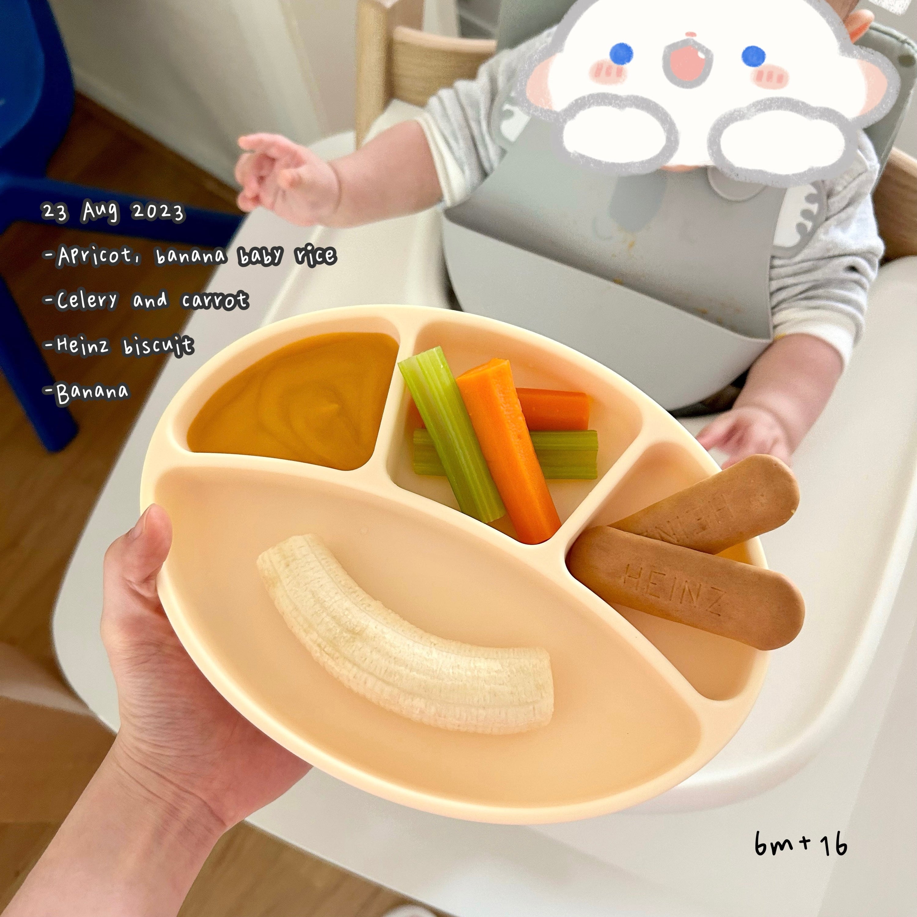 Loomie Daily Meal #11 - 6m+ Soft Bites & First Crunch