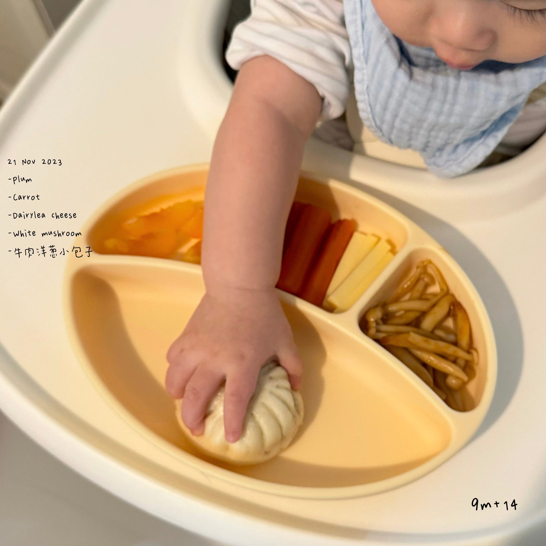 Loomie Daily Meal #14 - 9m Little Buns & Balanced Bites