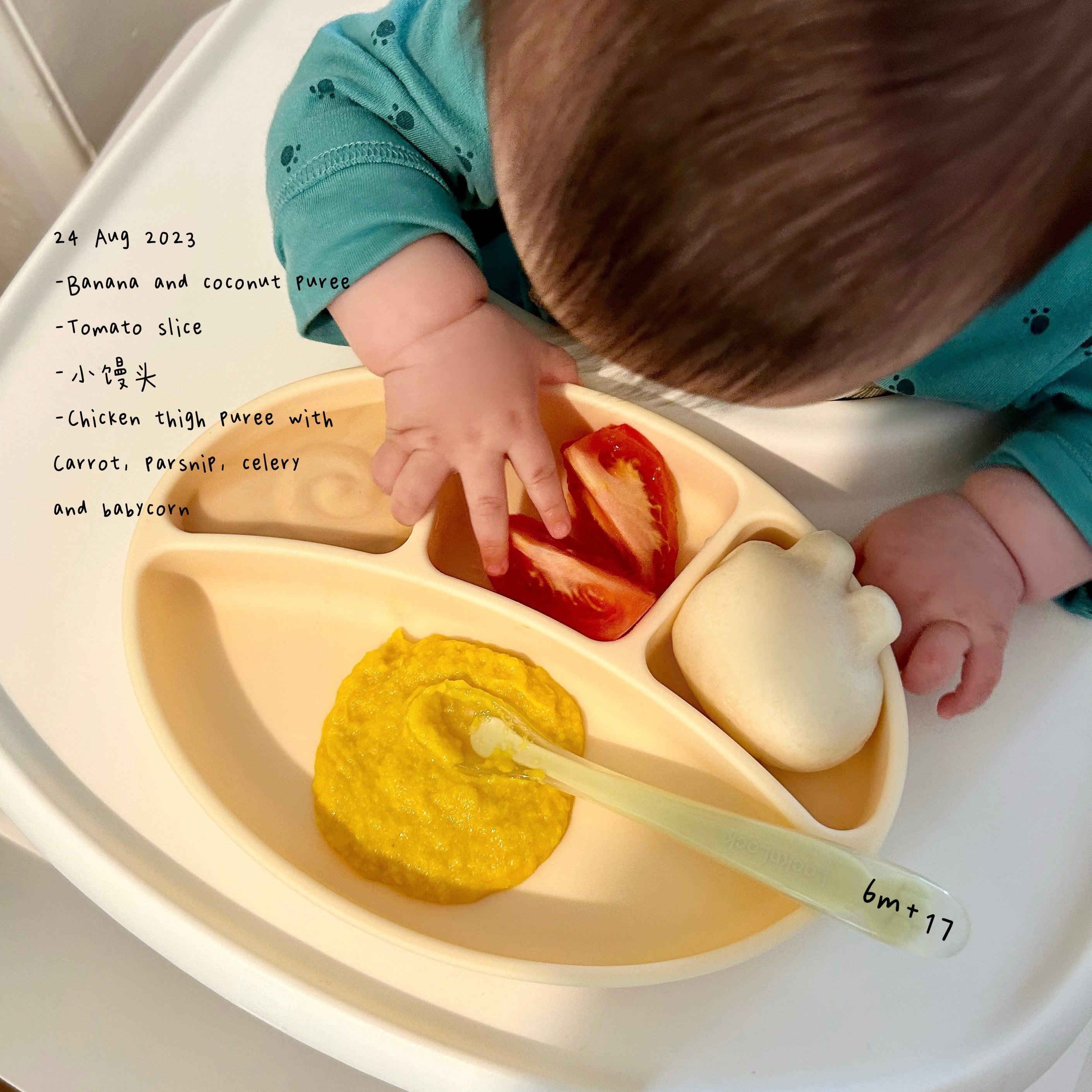 Loomie Daily Meal #12 - 6m+ Savoury Touches & Gentle Sweetness