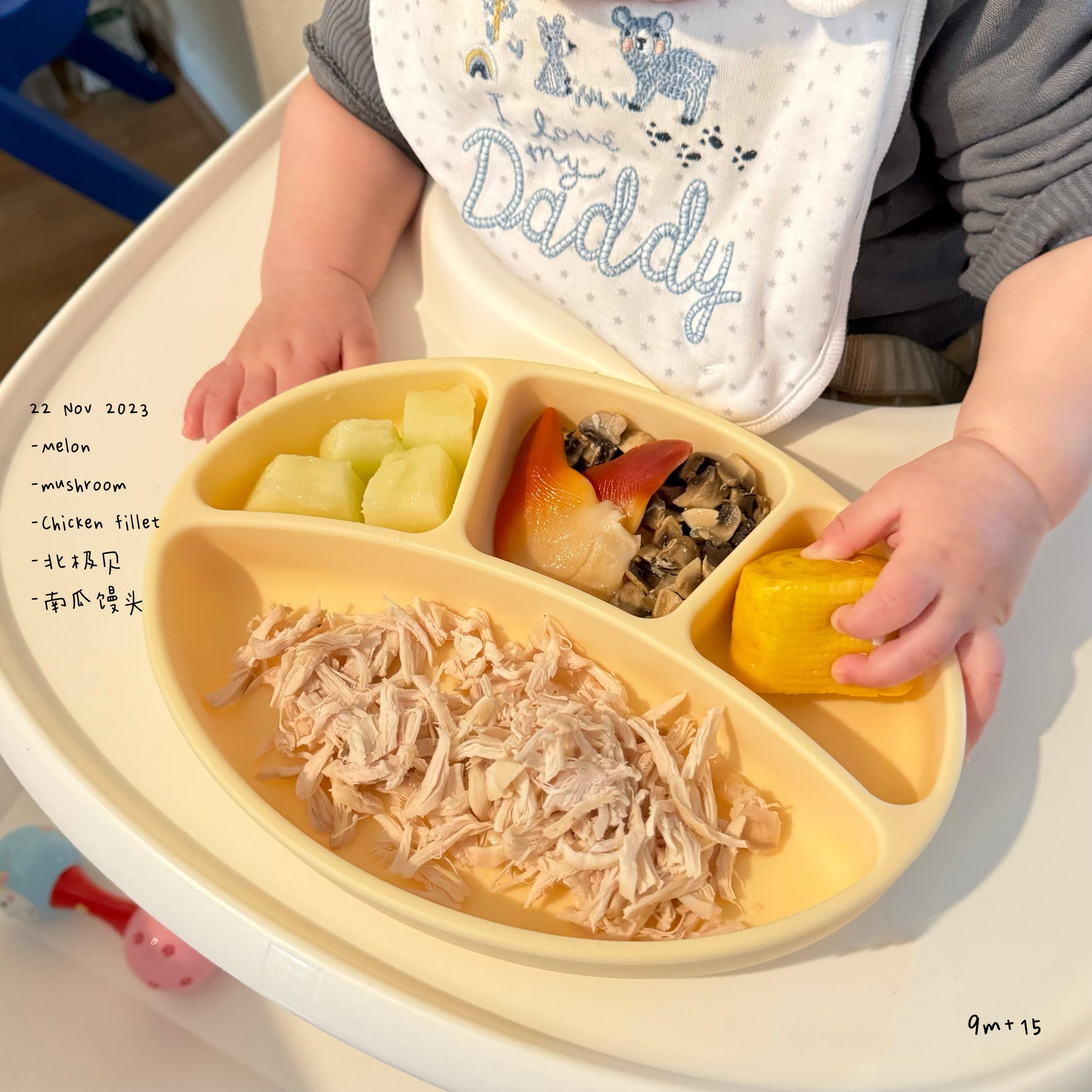 Loomie Daily Meal #15 - 9m Colorful Proteins & Soft Bites