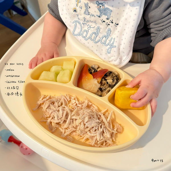 Loomie Daily Meal #15 - 9m Colorful Proteins & Soft Bites