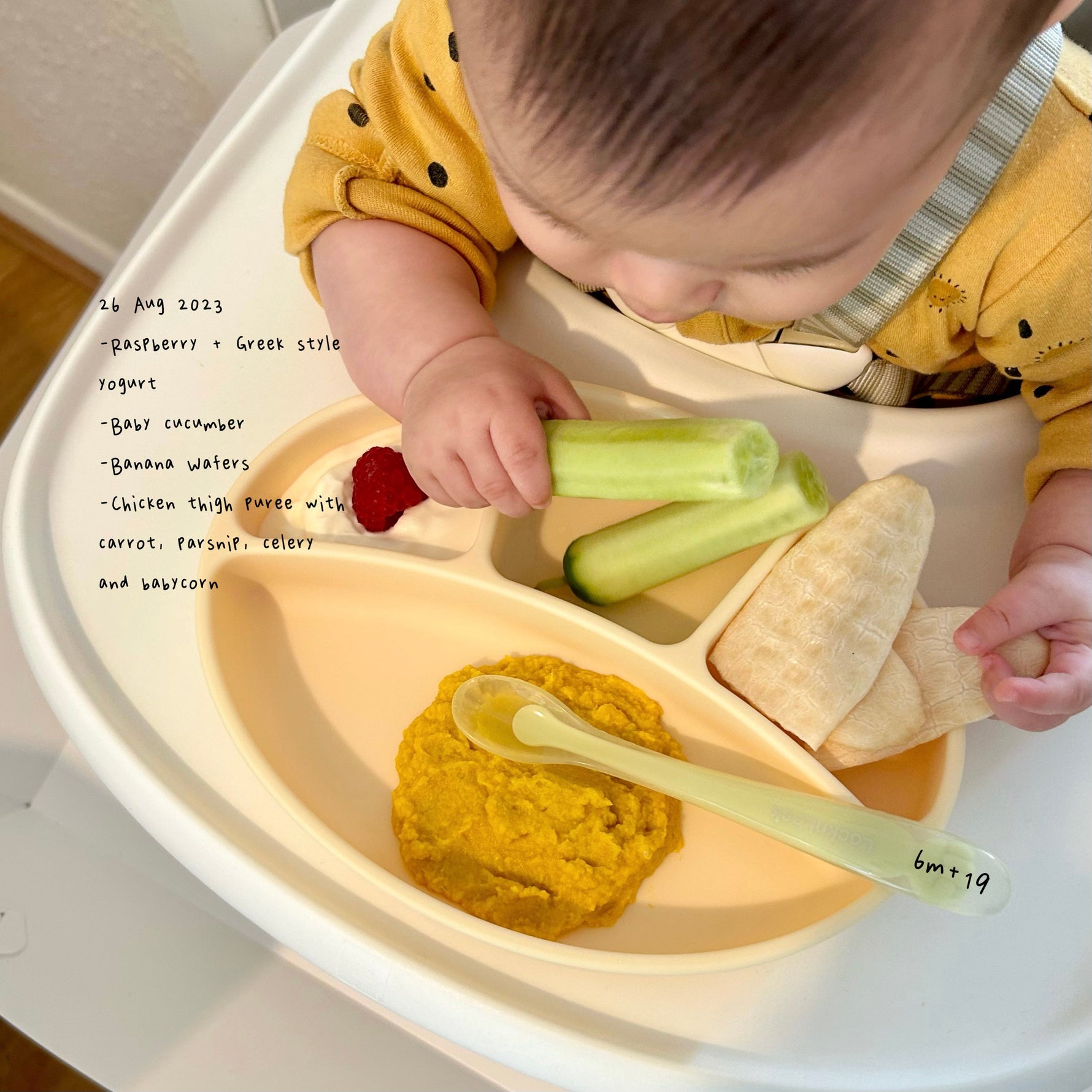 Loomie Daily Meal #13 - 6m+ Cool Crunch, Warm Comfort
