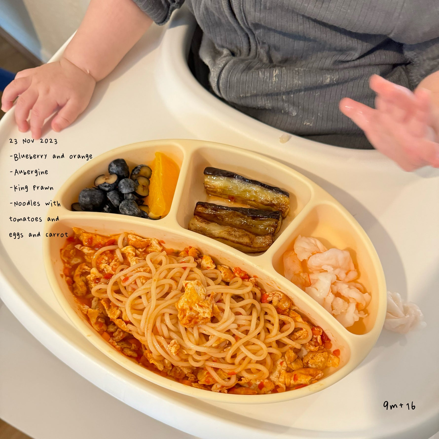 Loomie Daily Meal #16 - 9m Little Noodles & Colorful Sides