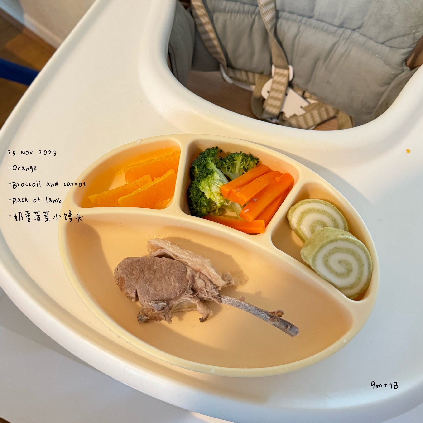 Loomie Daily Meal #17 - 9m Fresh Flavors & Gentle Bites