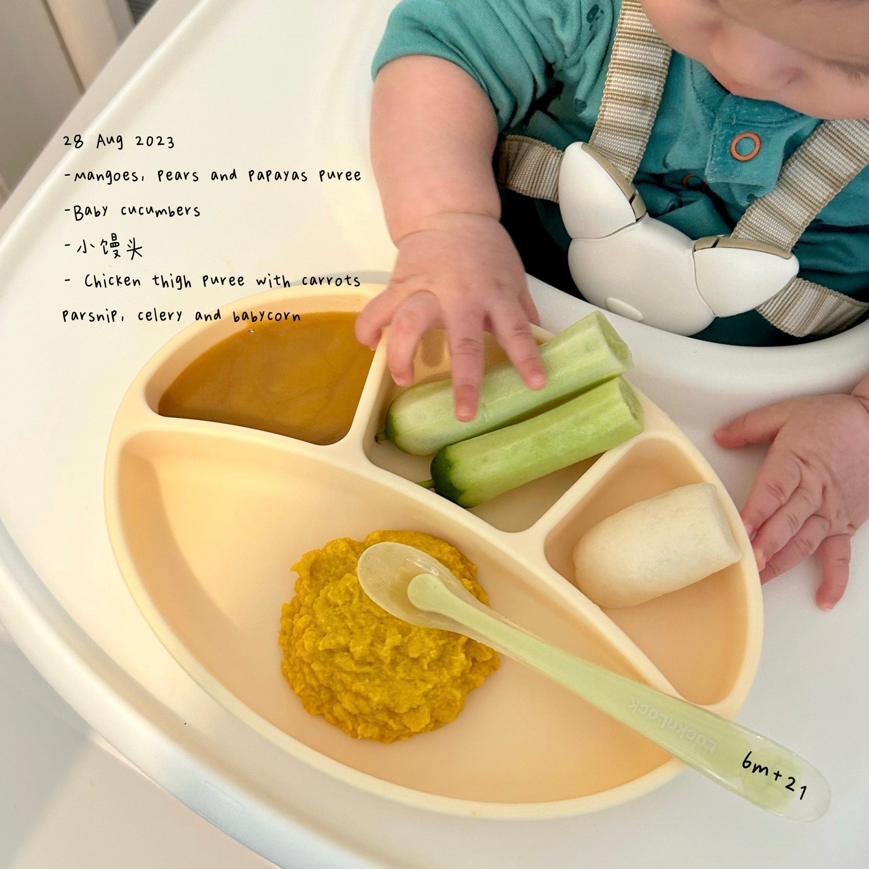 Loomie Daily Meal #15 - 6m+ A Spoonful of Sunshine