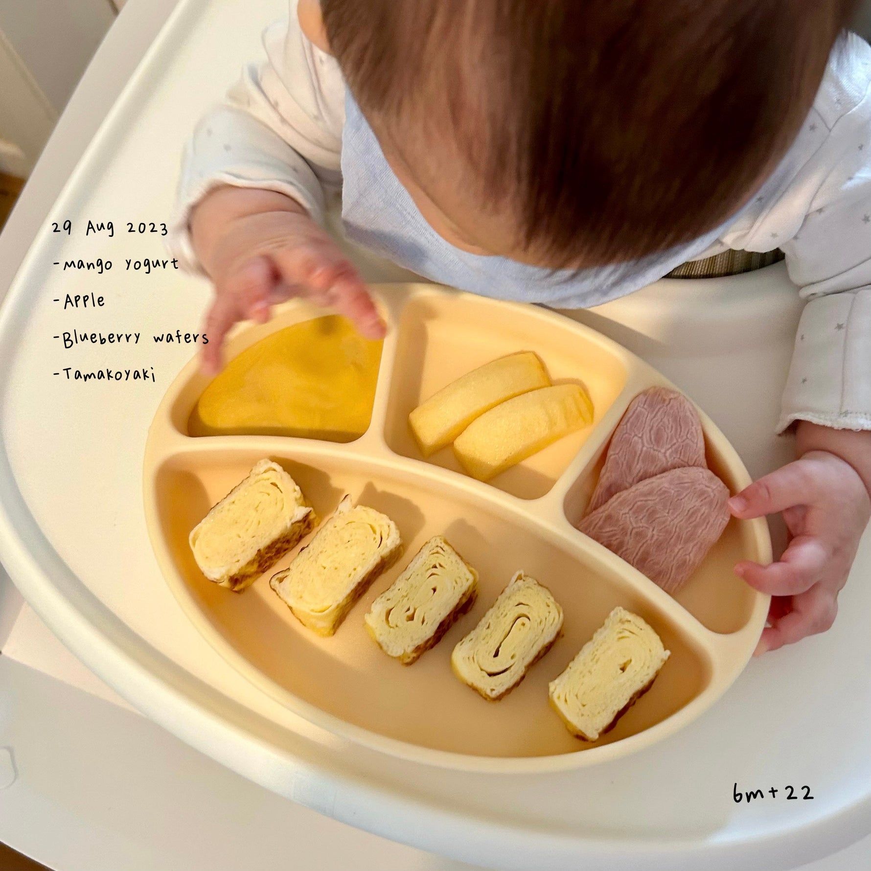 Loomie Daily Meal #16 - 6m+ Sweet, Soft & Savoury