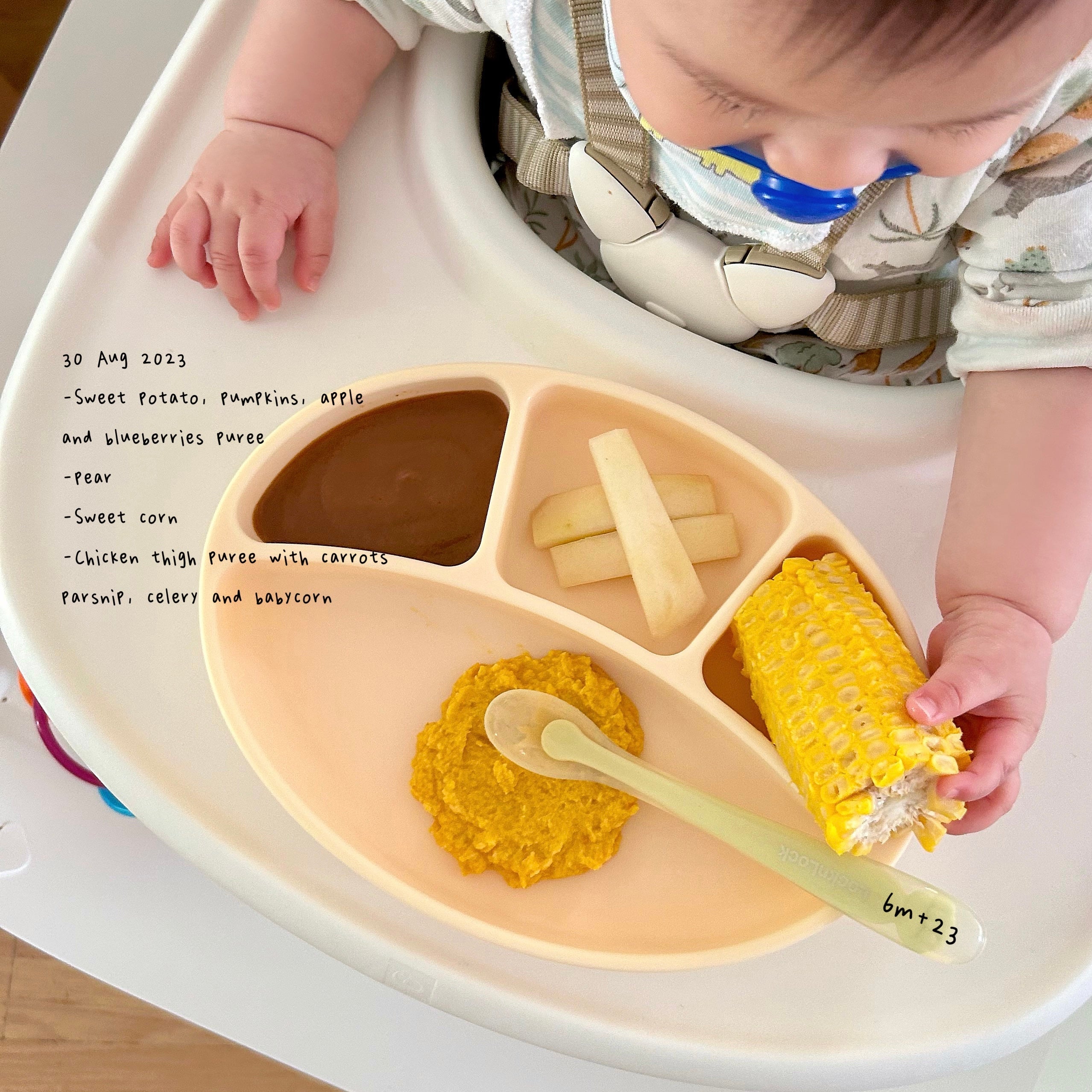 Loomie Daily Meal #17 - 6m+ Colorful & Comforting