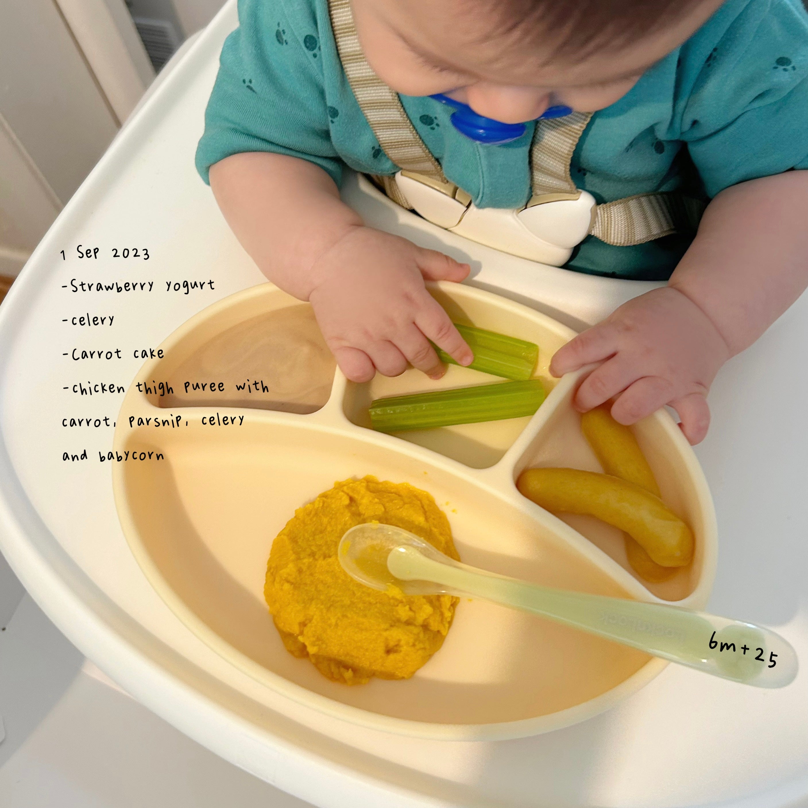 Loomie Daily Meal #19 - 6m+ Cool Crunch & Comfort