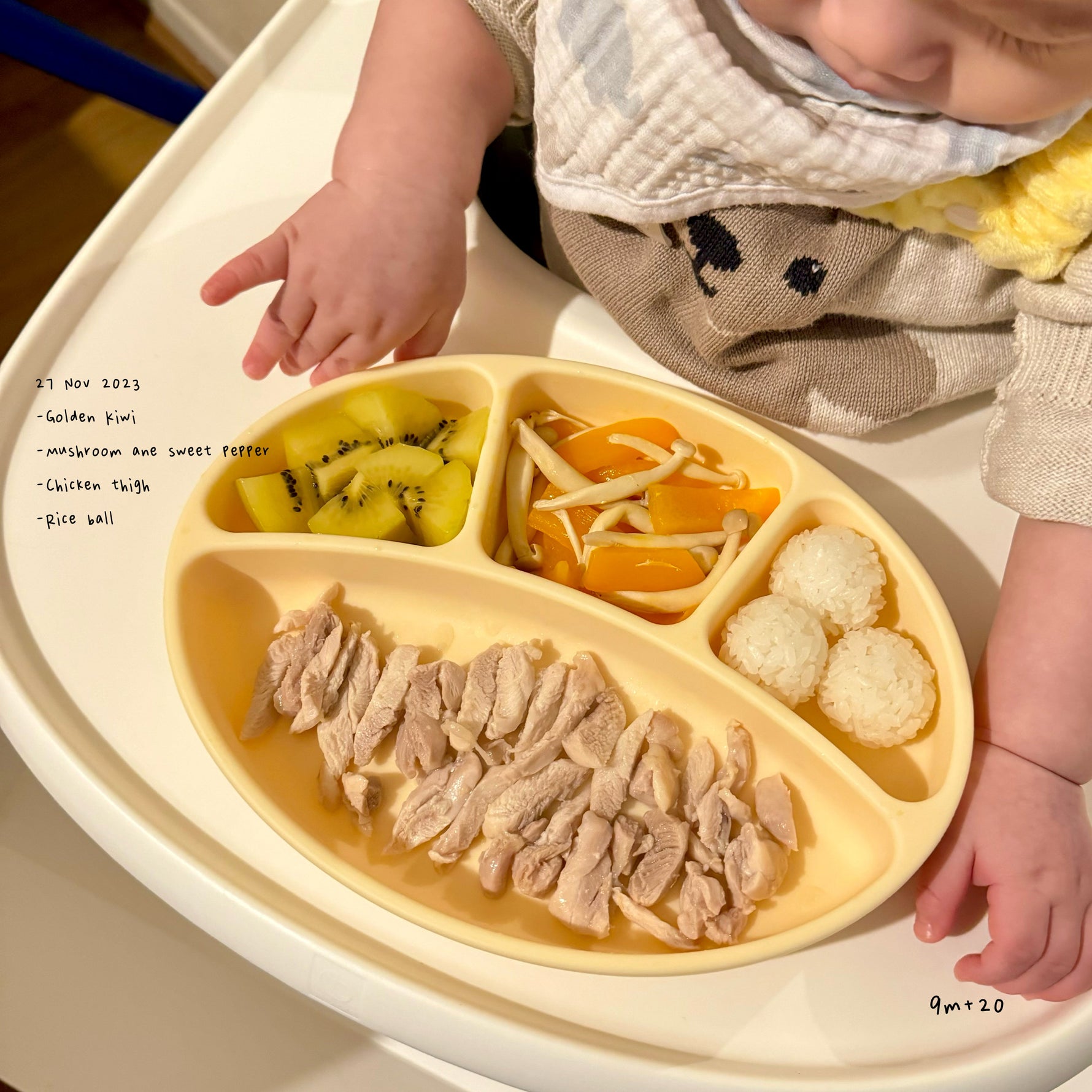 Loomie Daily Meal #18 - 9m Colorful Plates & Gentle Chews