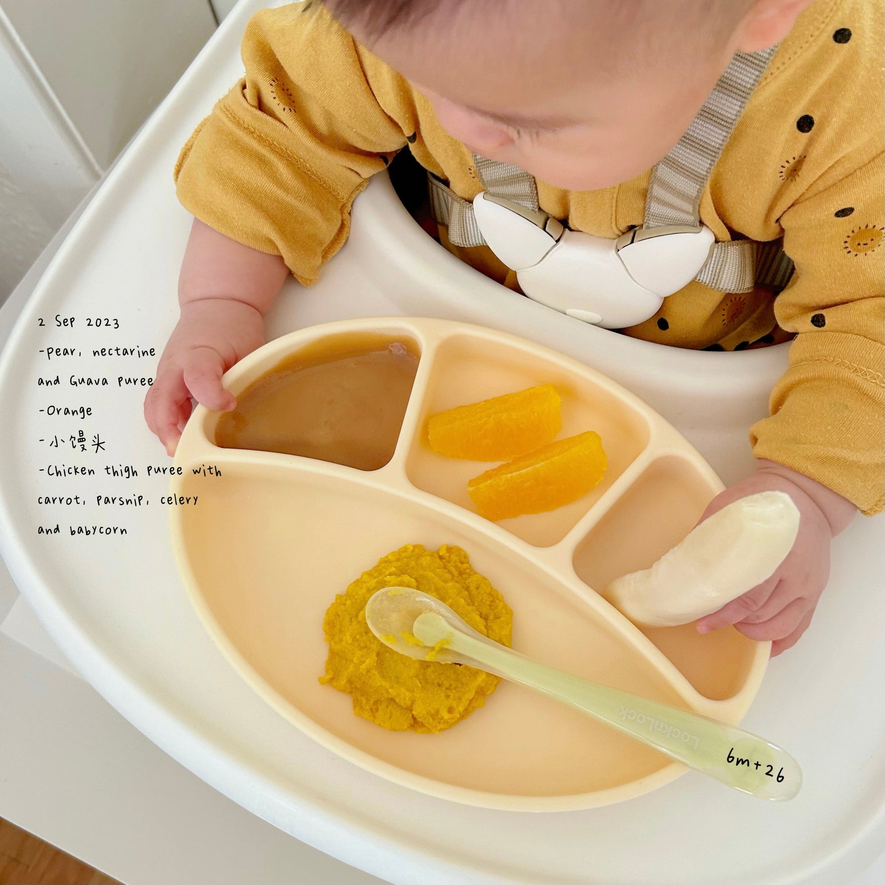 Loomie Daily Meal #20 - 6m+ Golden Goodness for Tiny Tastebuds