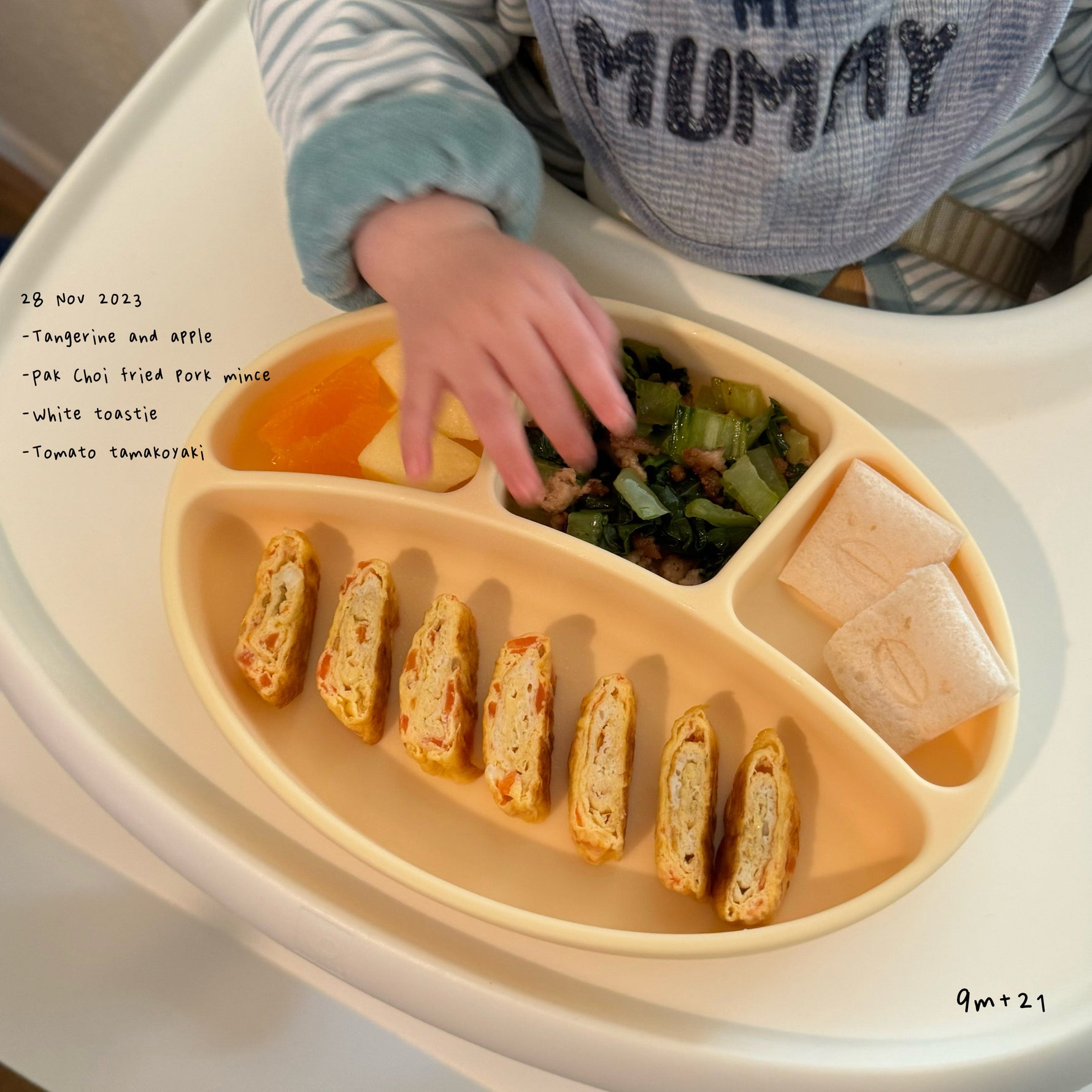 Loomie Daily Meal #19 - 9m Bright Flavors & Soft Proteins