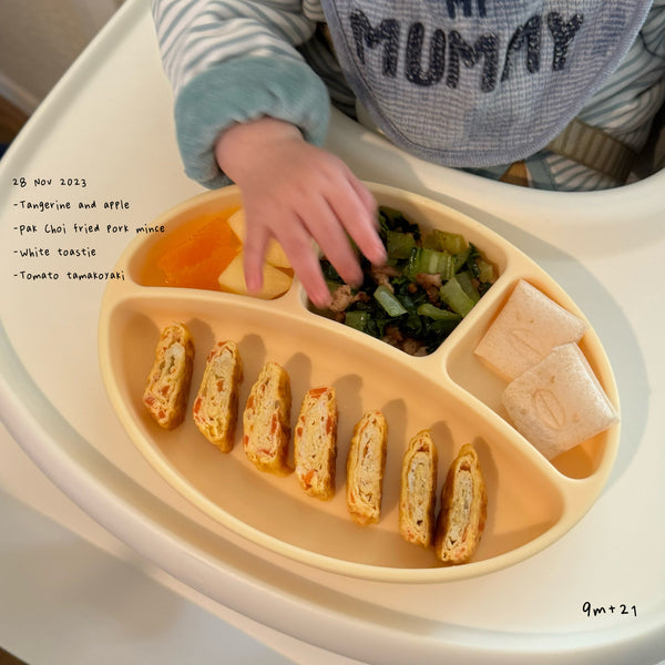 Loomie Daily Meal #19 - 9m Bright Flavors & Soft Proteins