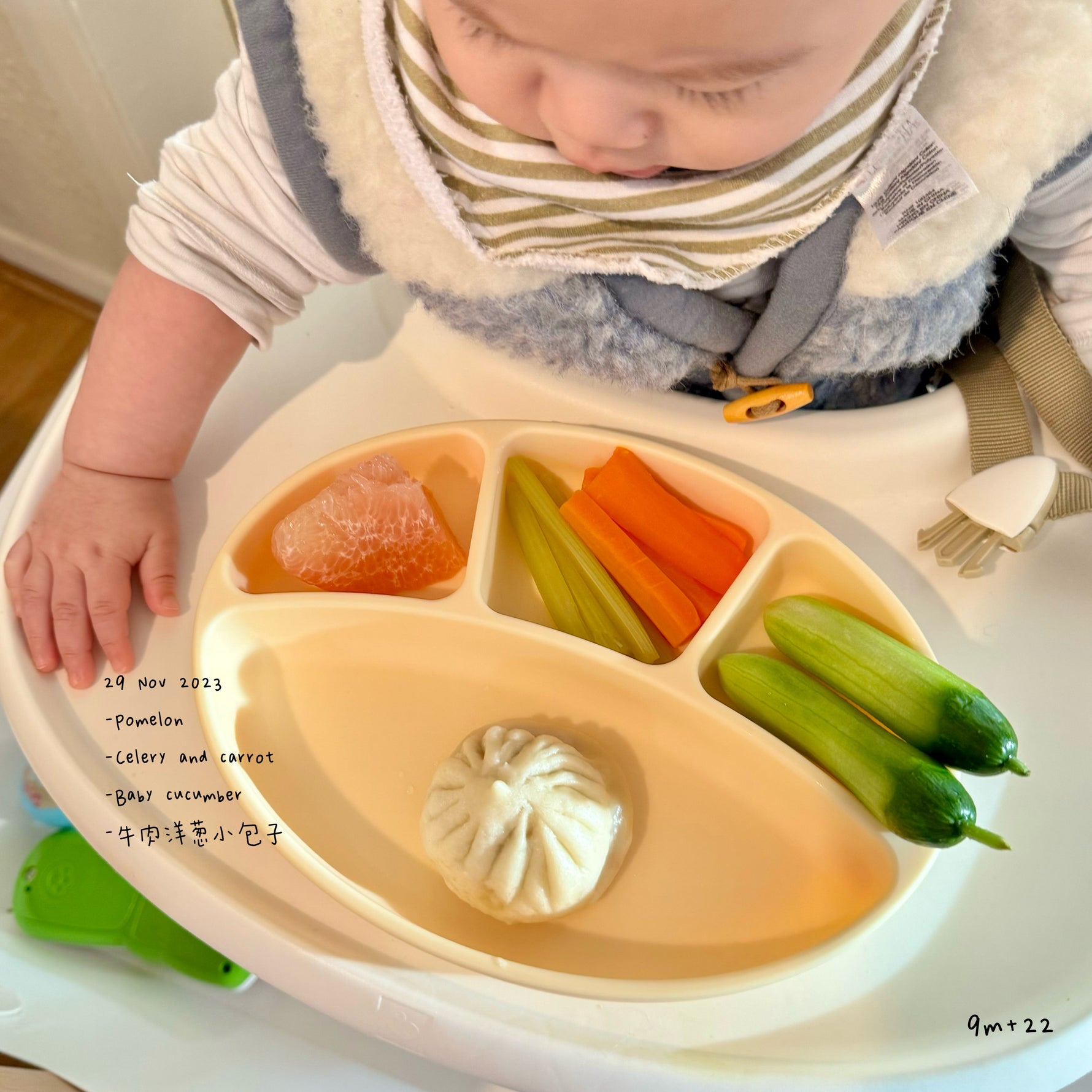 Loomie Daily Meal #20 - 9m Fresh & Simple