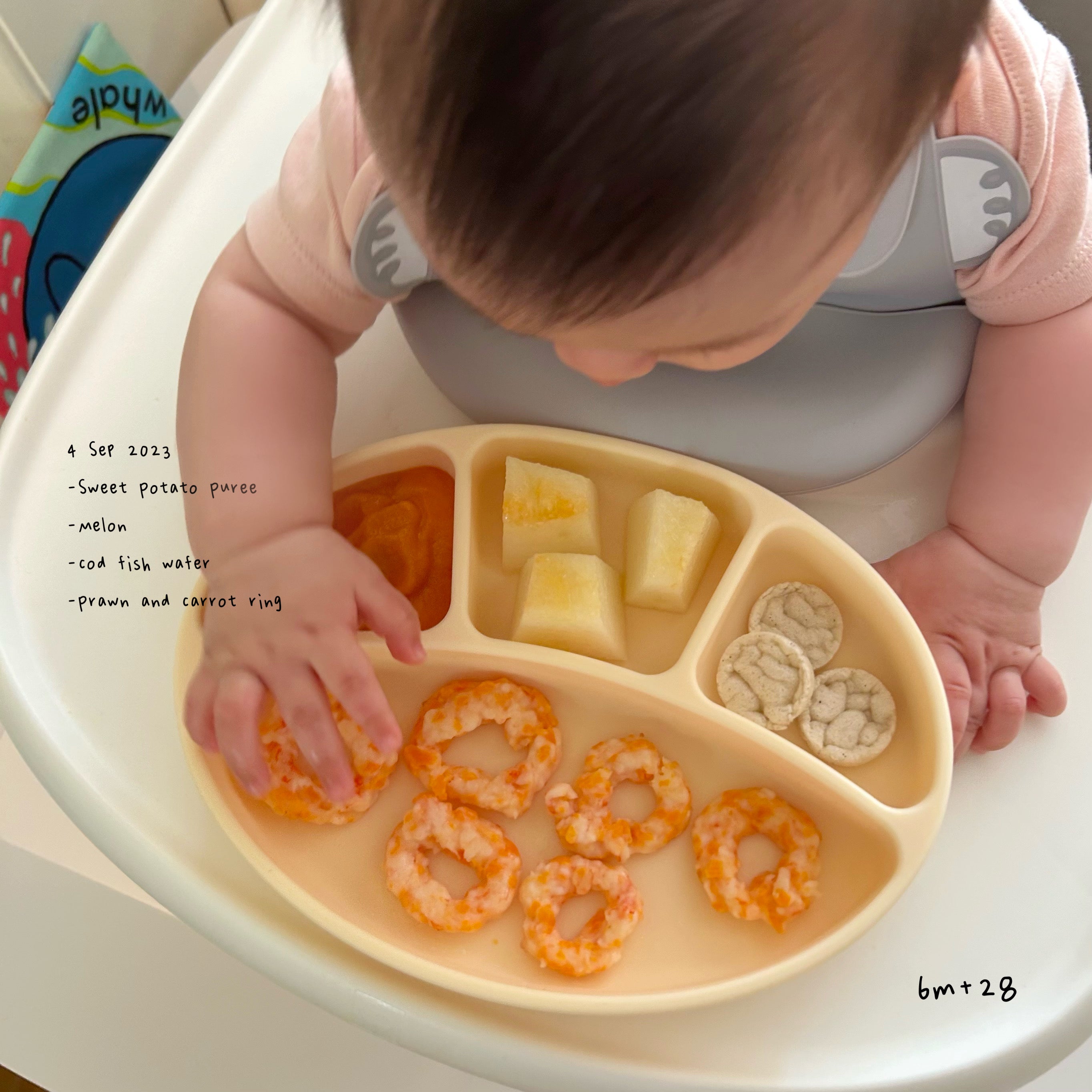 Loomie Daily Meal #21 - 6m+ Ocean Bites for Little Explorers