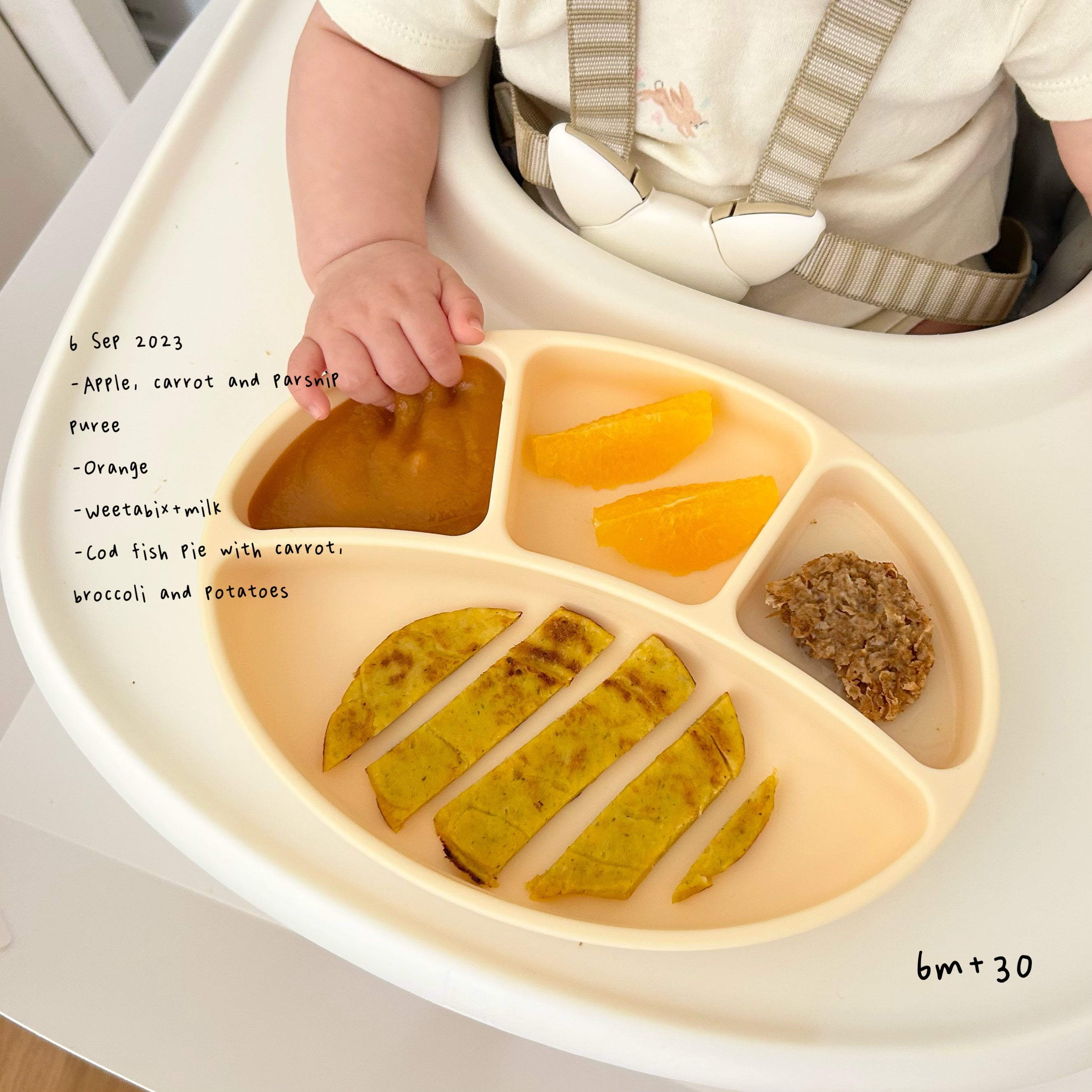 Loomie Daily Meal #23 - 6m+ Gentle Proteins & Golden Bites