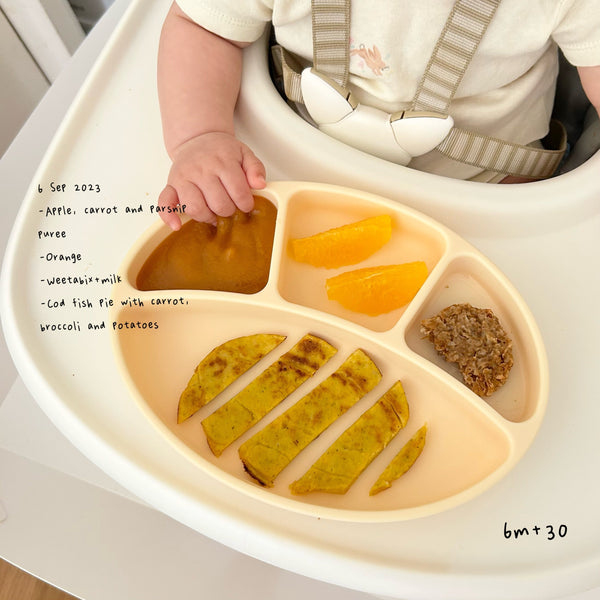 Loomie Daily Meal #23 - 6m+ Gentle Proteins & Golden Bites