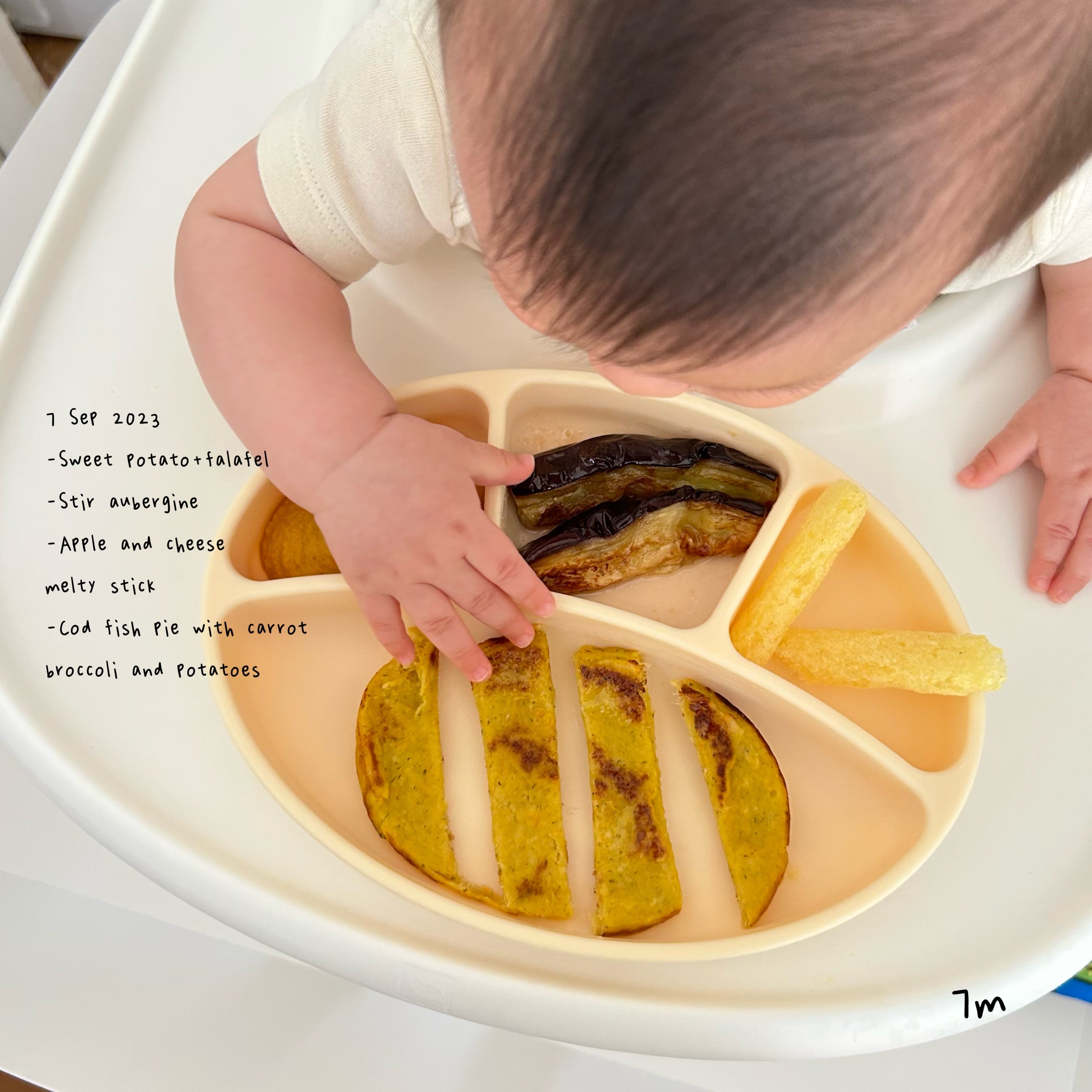 Loomie Daily Meal #01 - 7m+ New Month, New Textures!