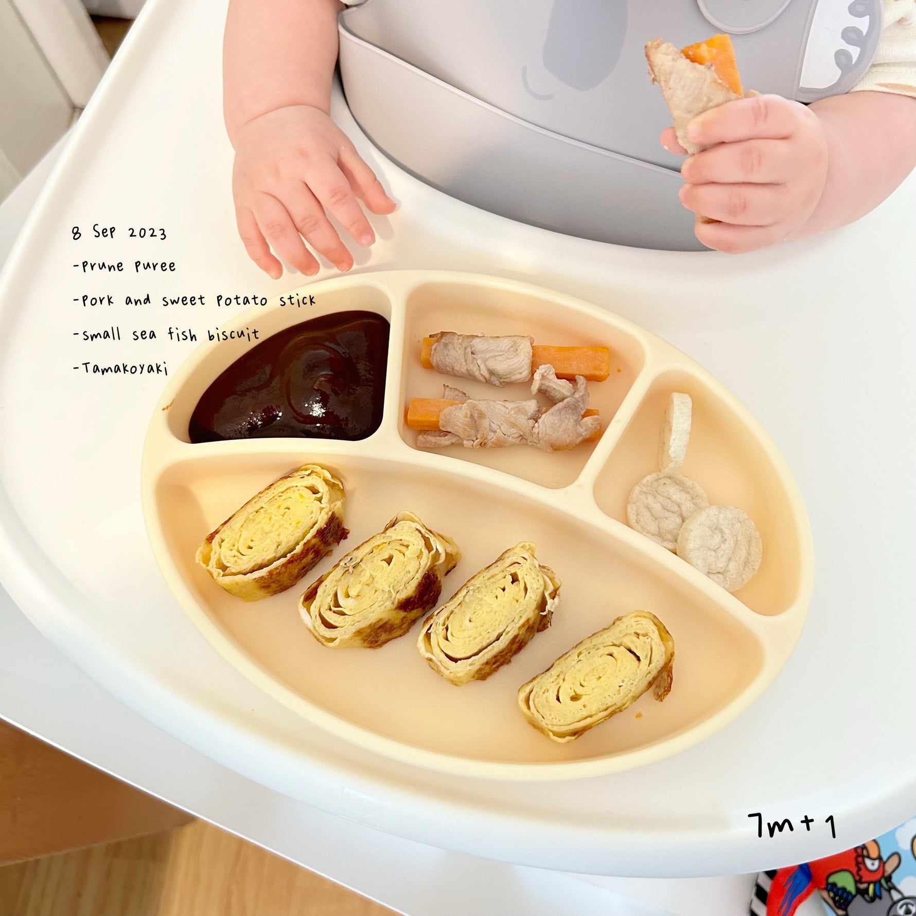 Loomie Daily Meal #02 - 7m+ Sweet, Soft & Savoury