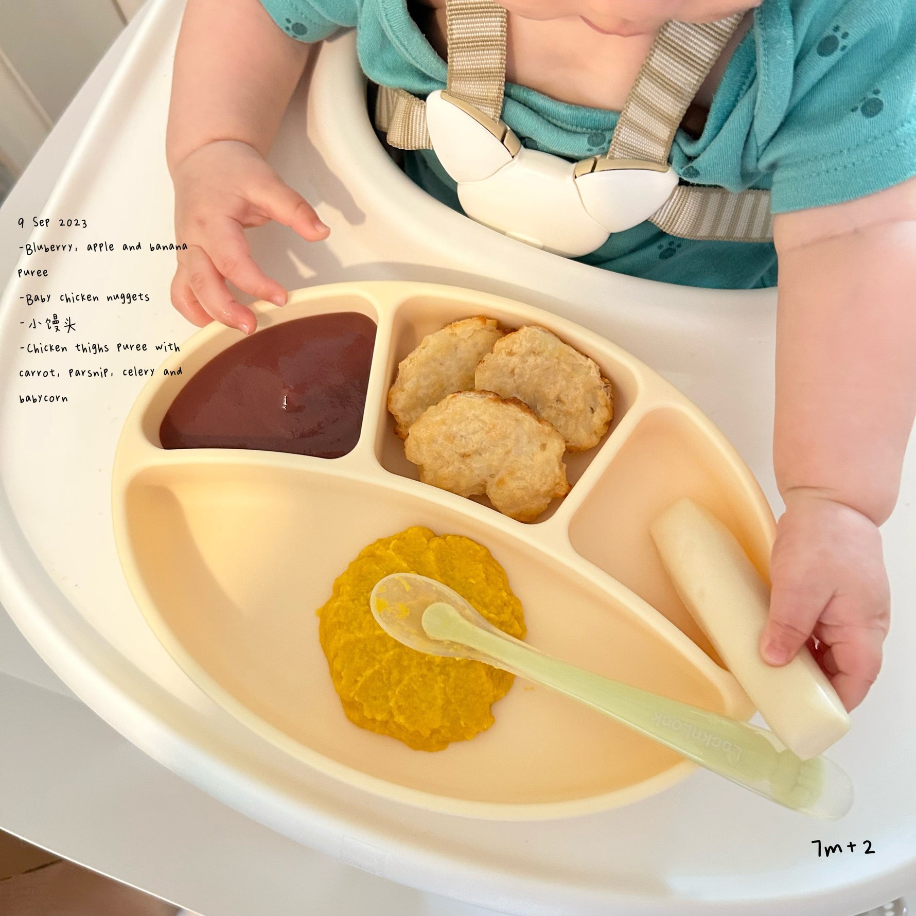 Loomie Daily Meal #03 - 7m+ Soft Bites & Balanced Nutrition