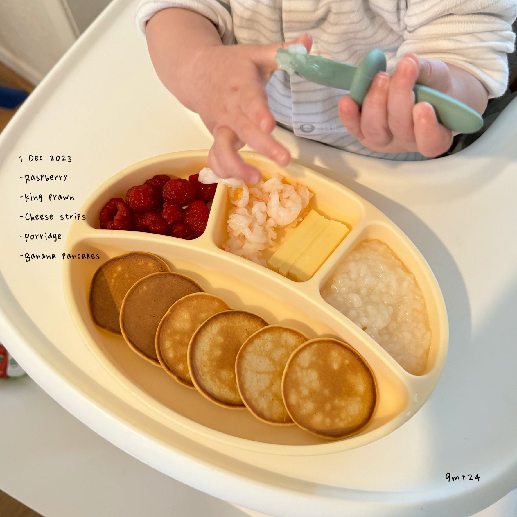 Loomie Daily Meal #21 - 9m Variety Plate