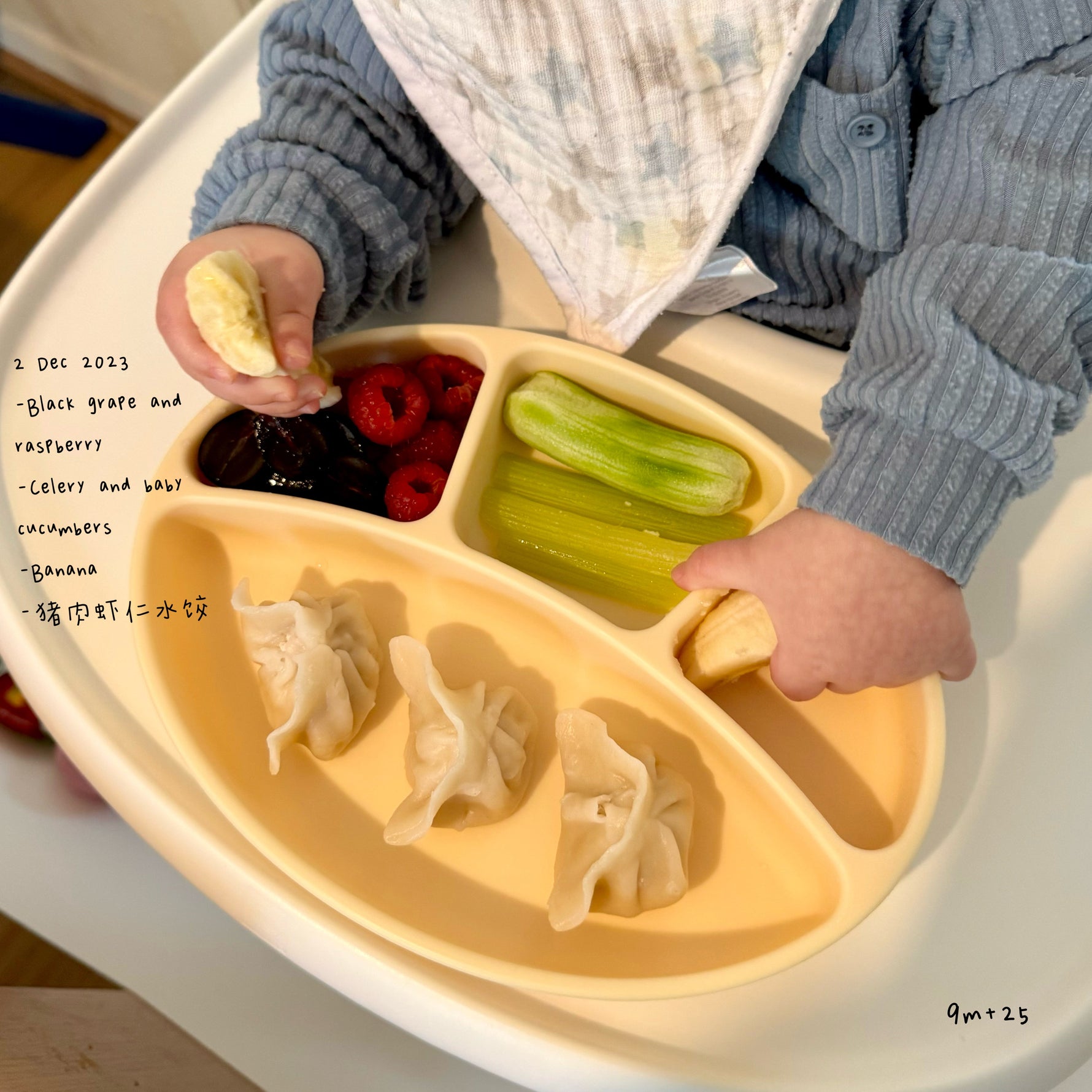 Loomie Daily Meal #22 - 9m Variety Plate