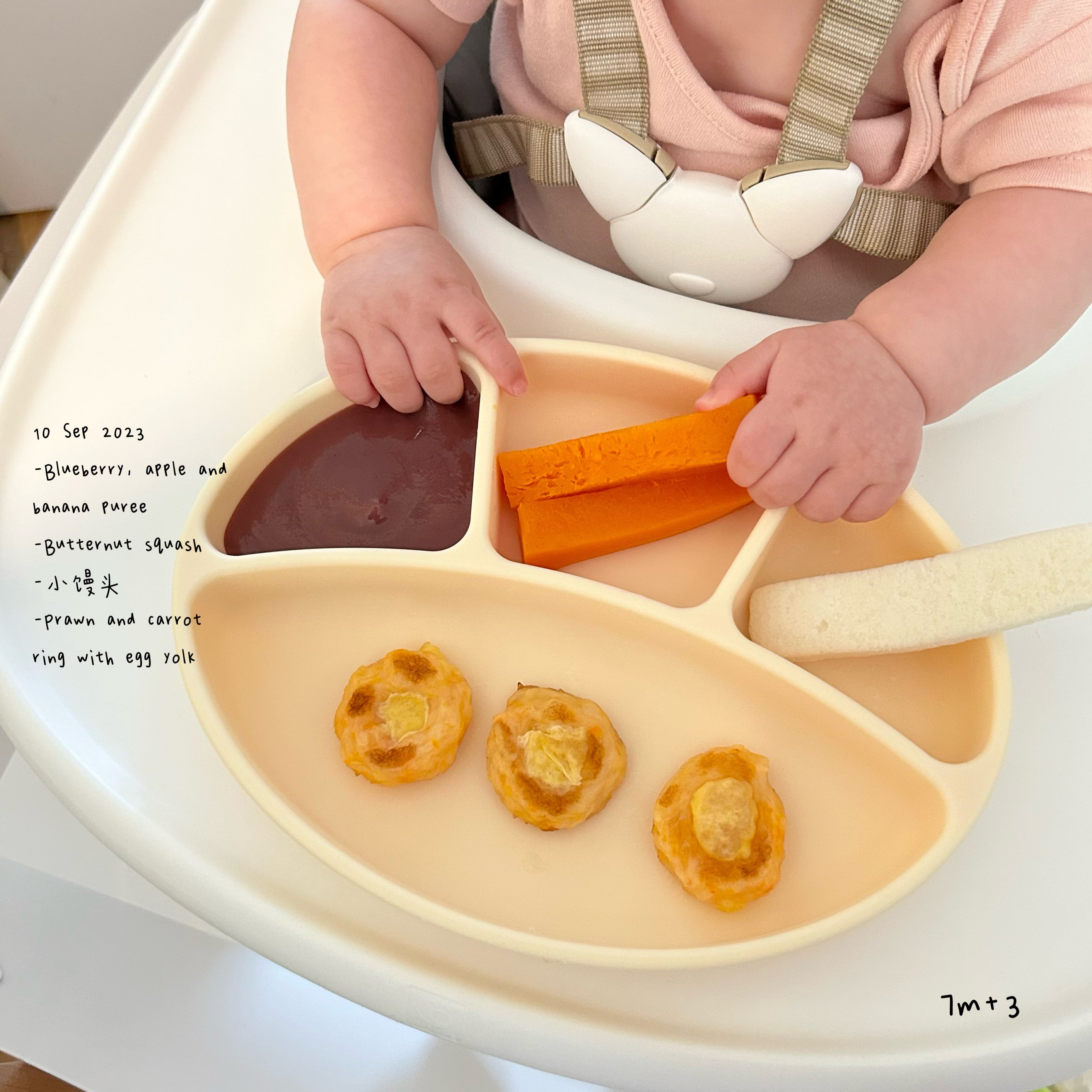 Loomie Daily Meal #04 - 7m+ Texture Play for Little Explorers