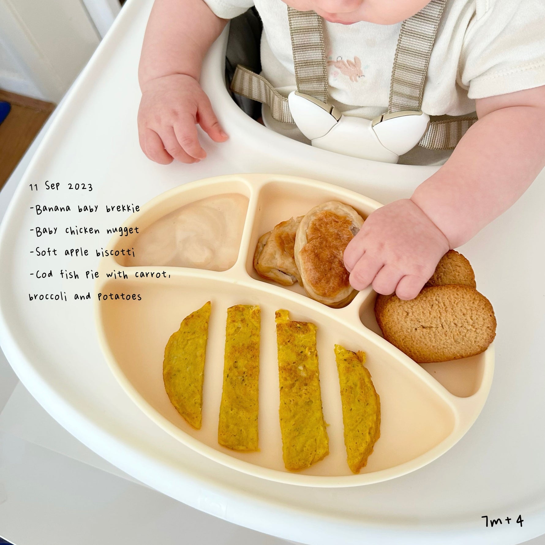 Loomie Daily Meal #05 - 7m+ A Finger Food Feast