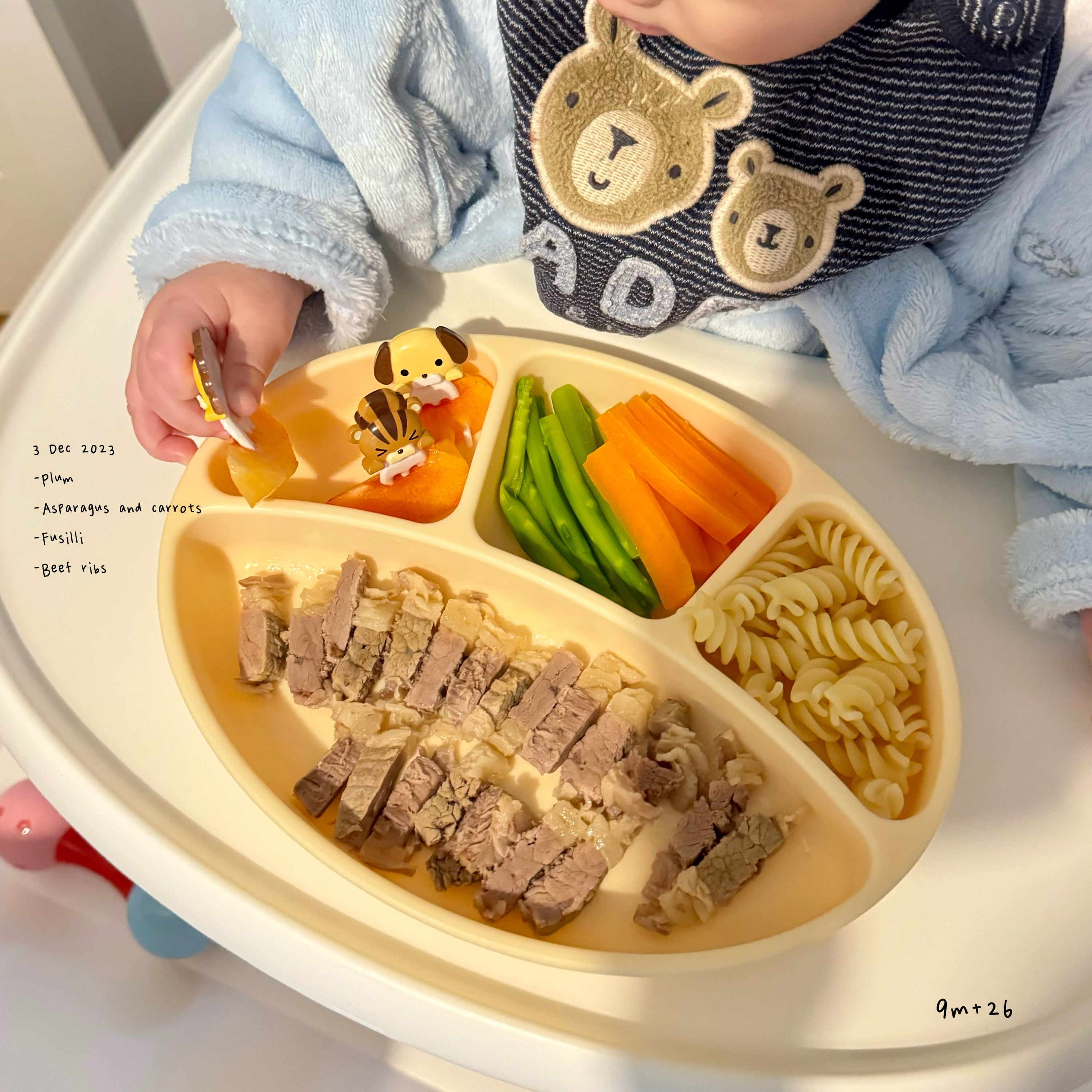 Loomie Daily Meal #23 - 9m Balanced Colors & Textures