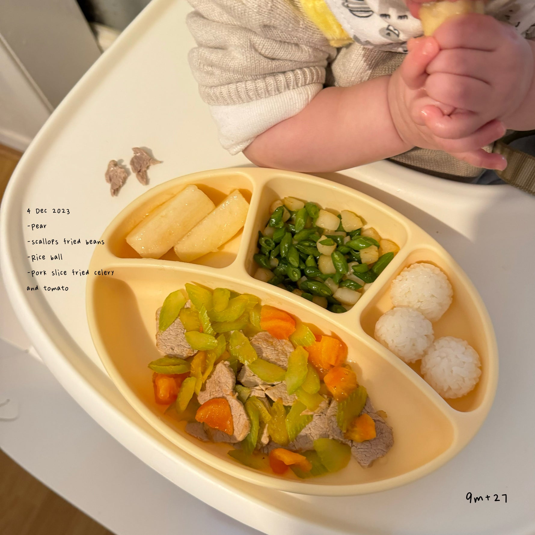Loomie Daily Meal #24 - 9m Savory Balance